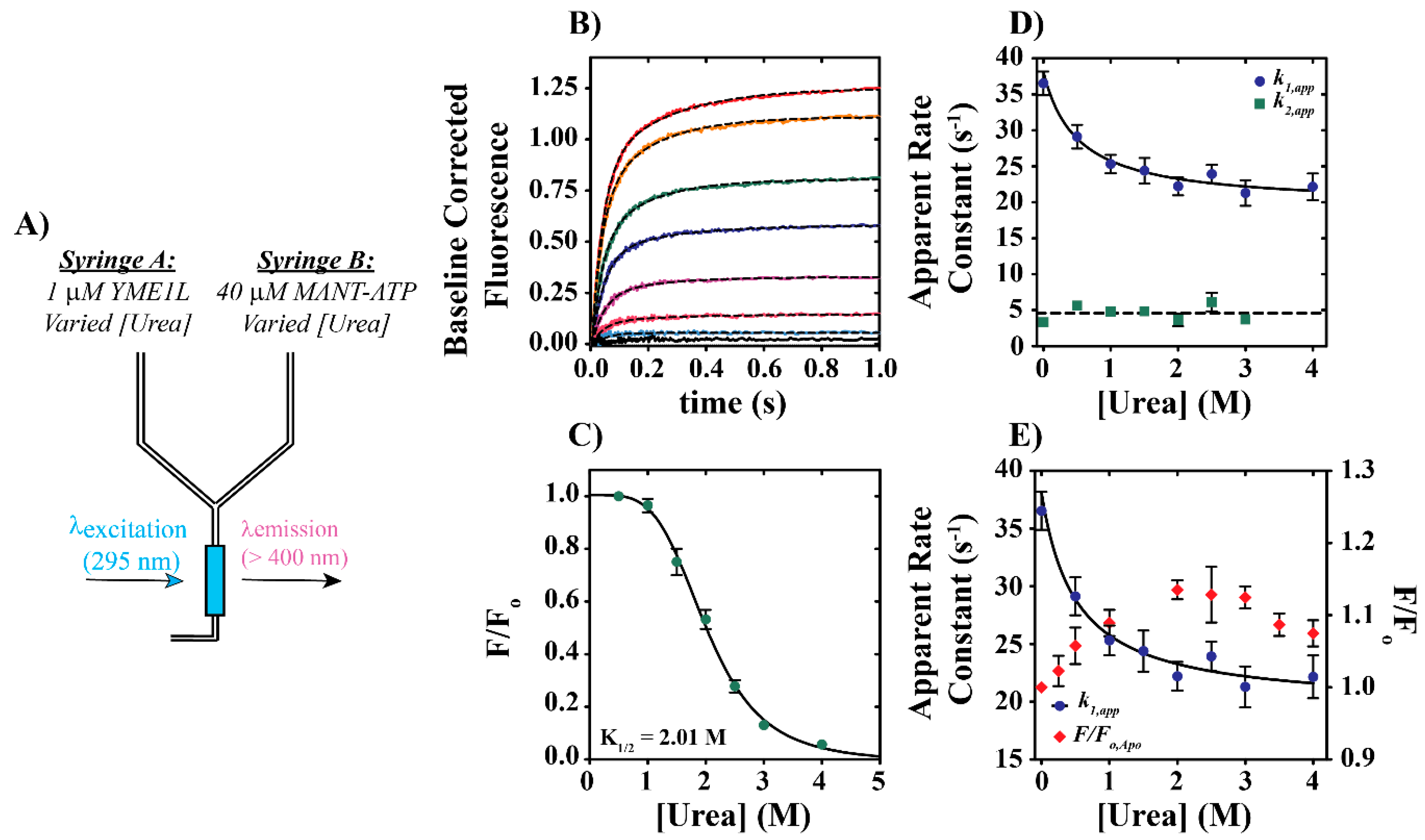 Biomolecules 10 00656 g005 Biomolecules 10 00656 g005