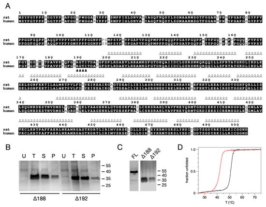 Biomolecules | Free Full-Text | Structure of the ALS Mutation