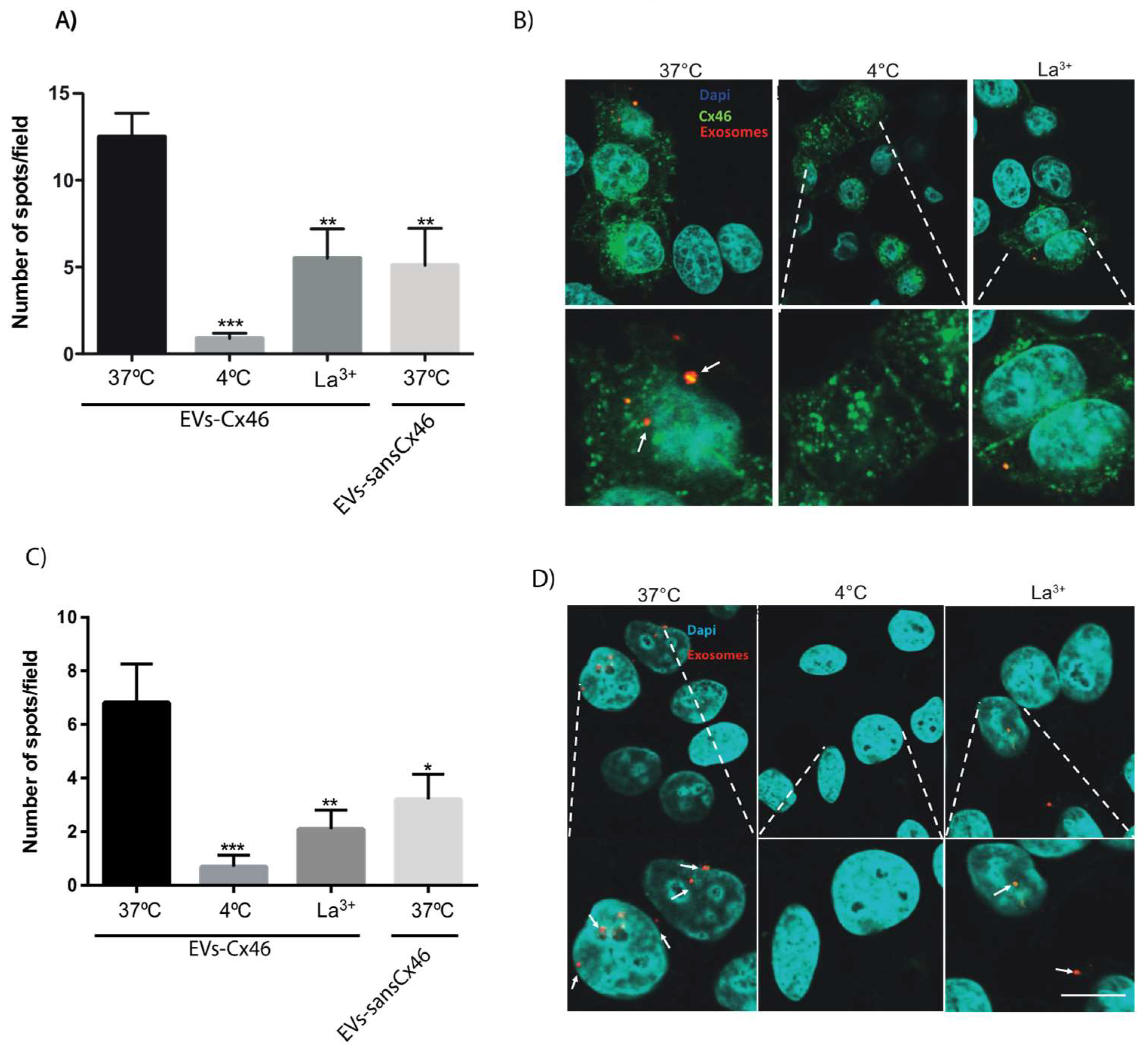 Biomolecules 10 00676 g003 Biomolecules 10 00676 g003
