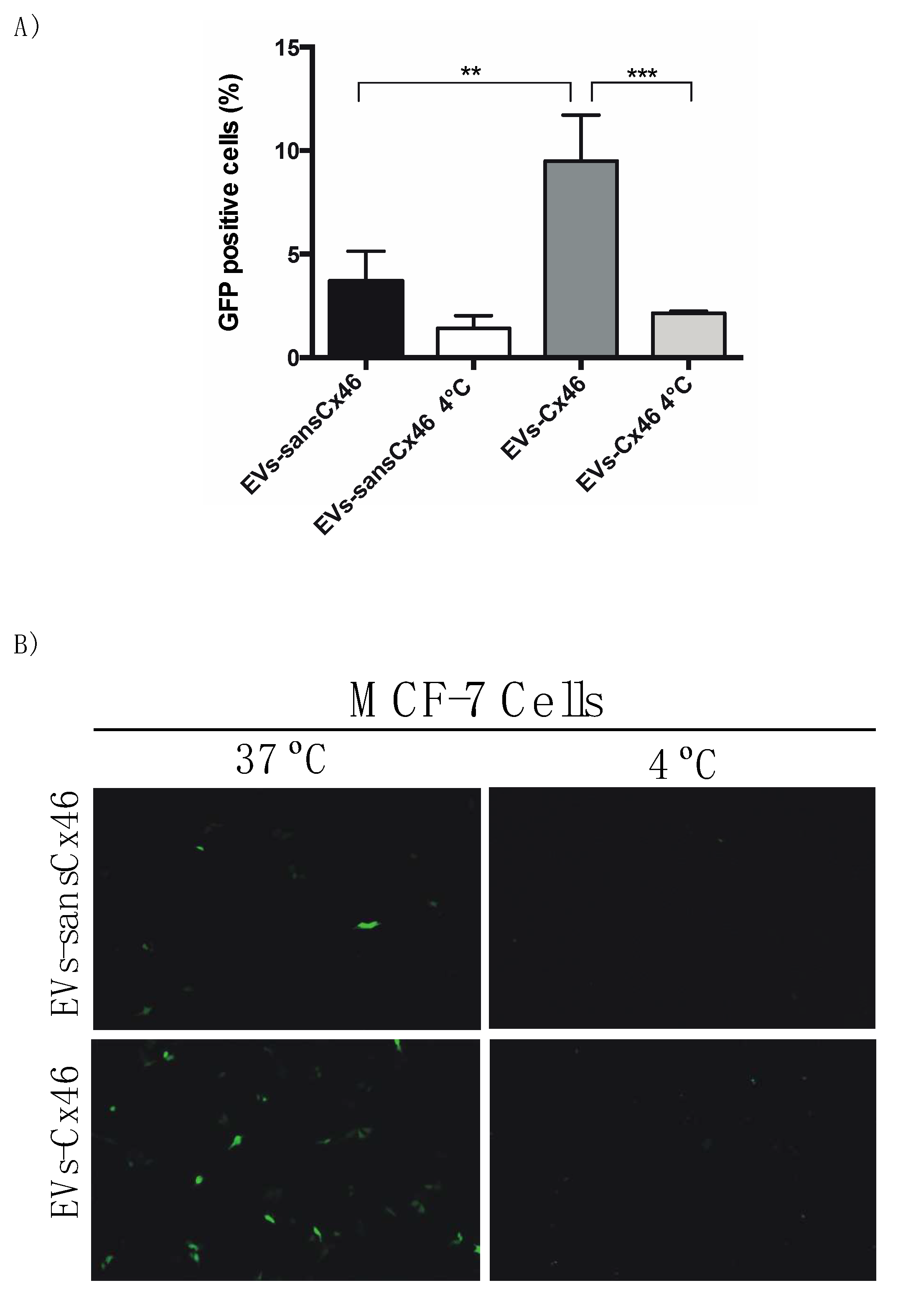 Biomolecules 10 00676 g004 Biomolecules 10 00676 g004