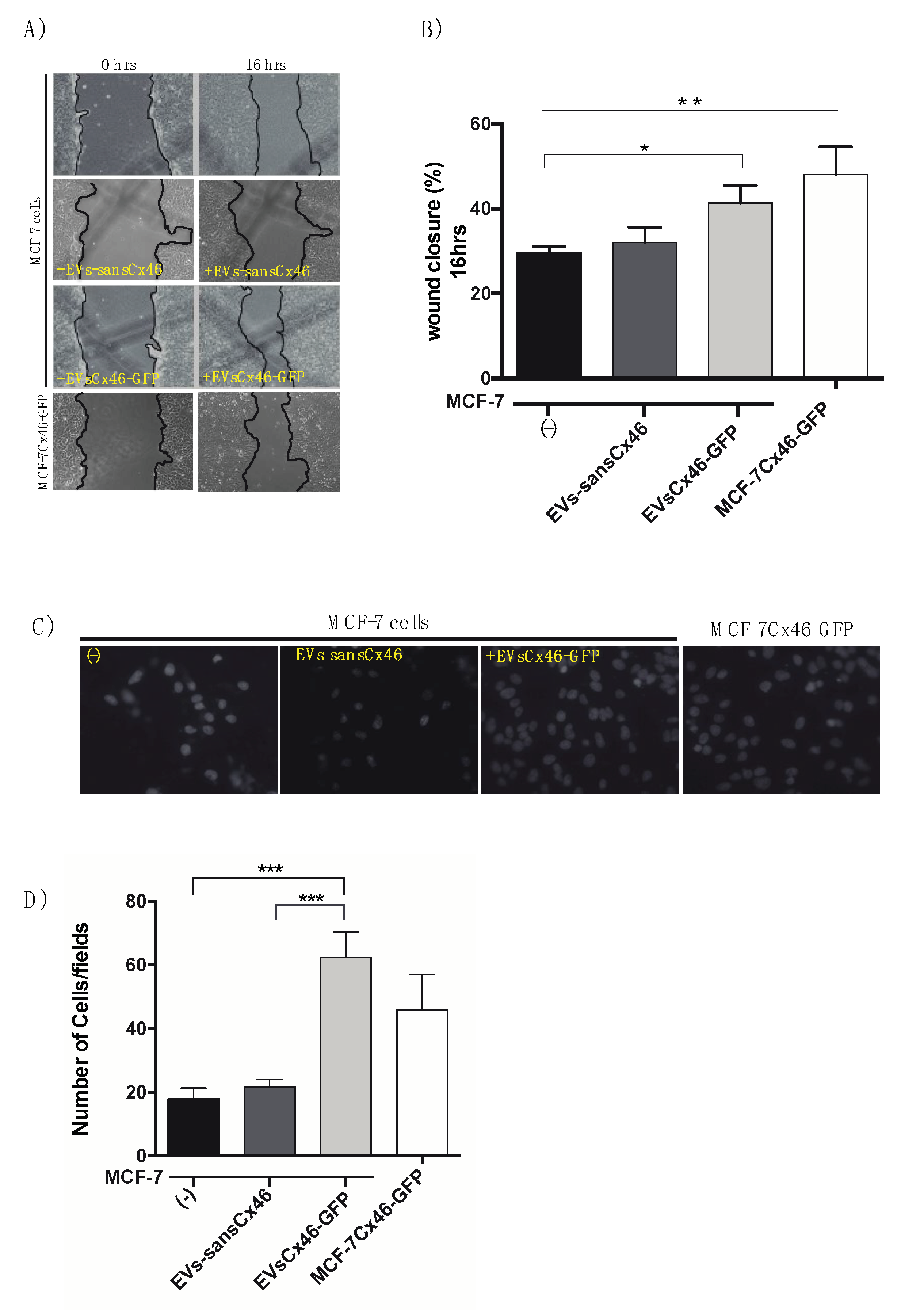 Biomolecules 10 00676 g005 Biomolecules 10 00676 g005