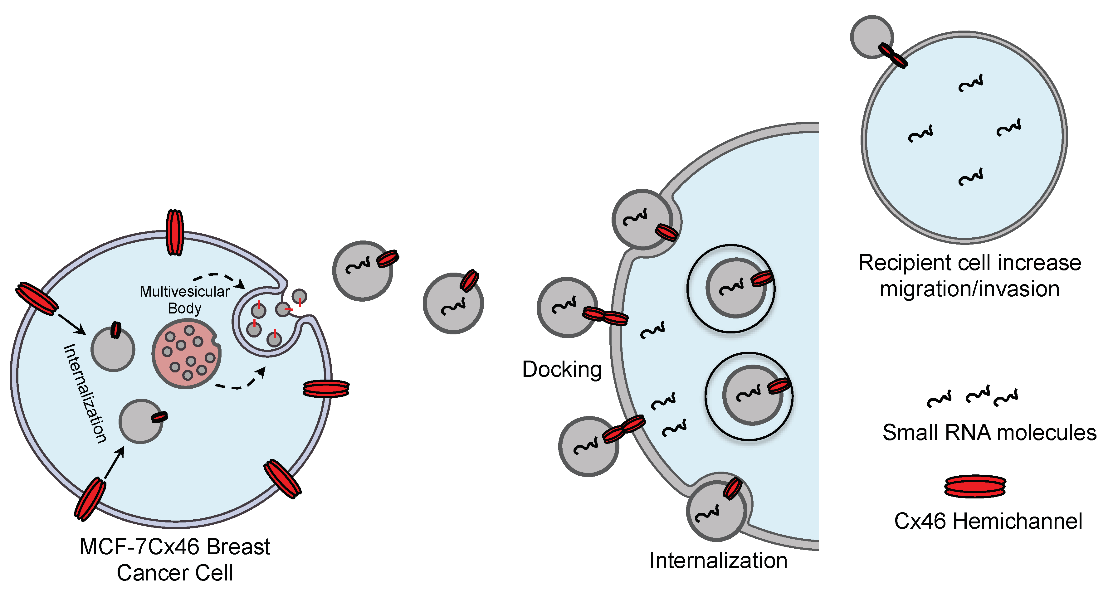 Biomolecules 10 00676 g007 Biomolecules 10 00676 g007