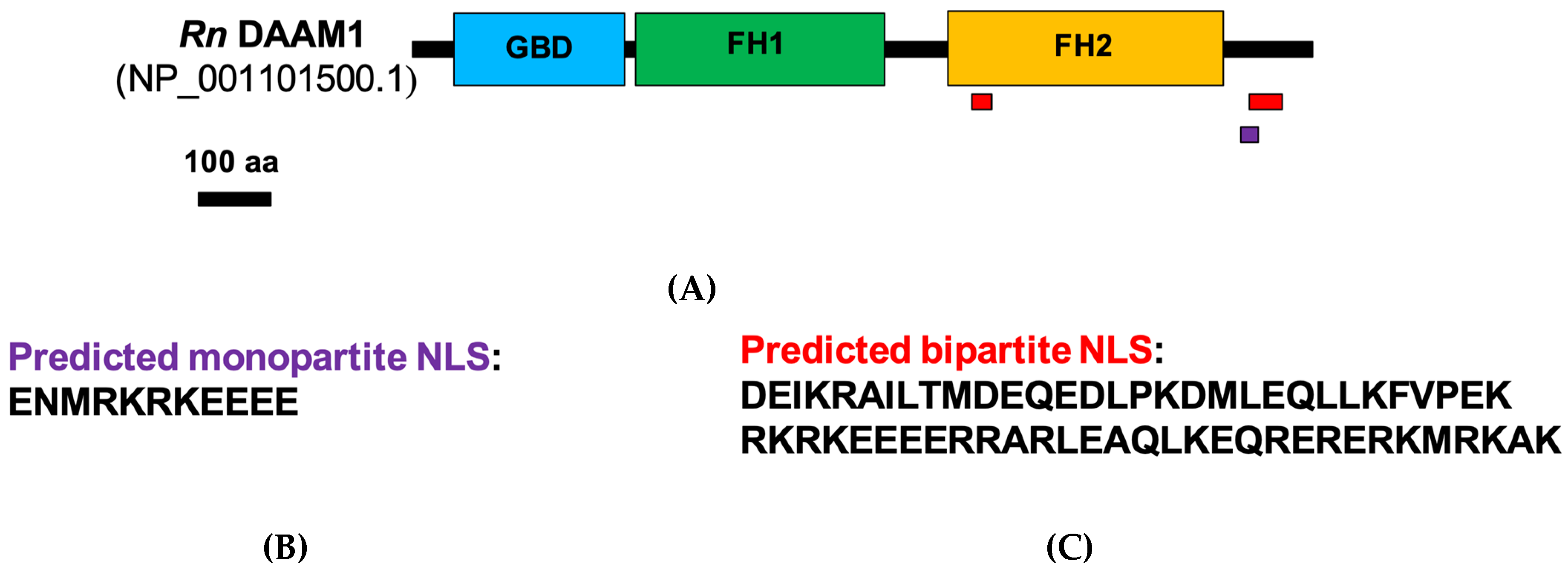 Biomolecules 10 00677 g002 Biomolecules 10 00677 g002