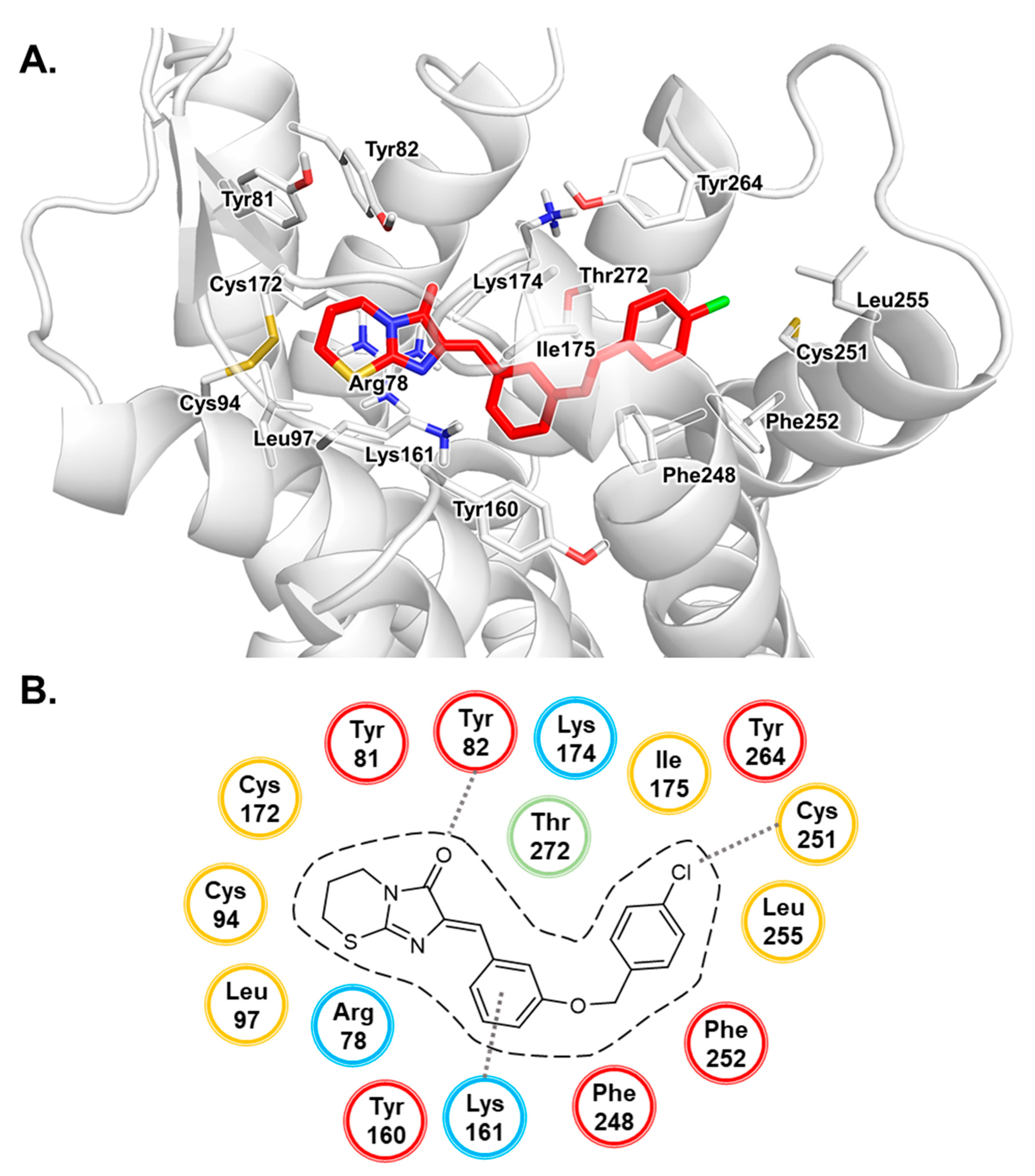 Biomolecules 10 00686 g003 Biomolecules 10 00686 g003