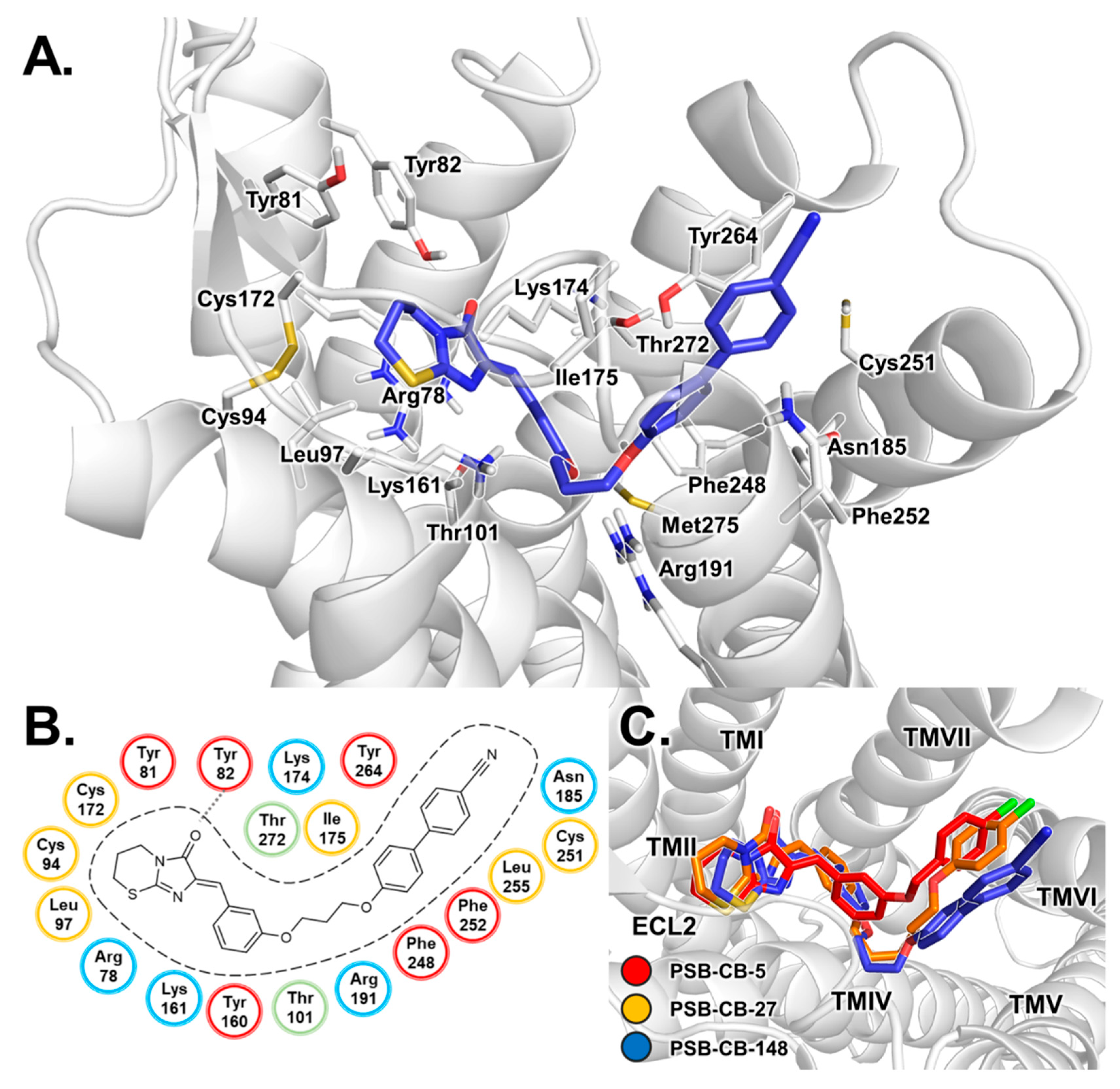 Biomolecules 10 00686 g006 Biomolecules 10 00686 g006