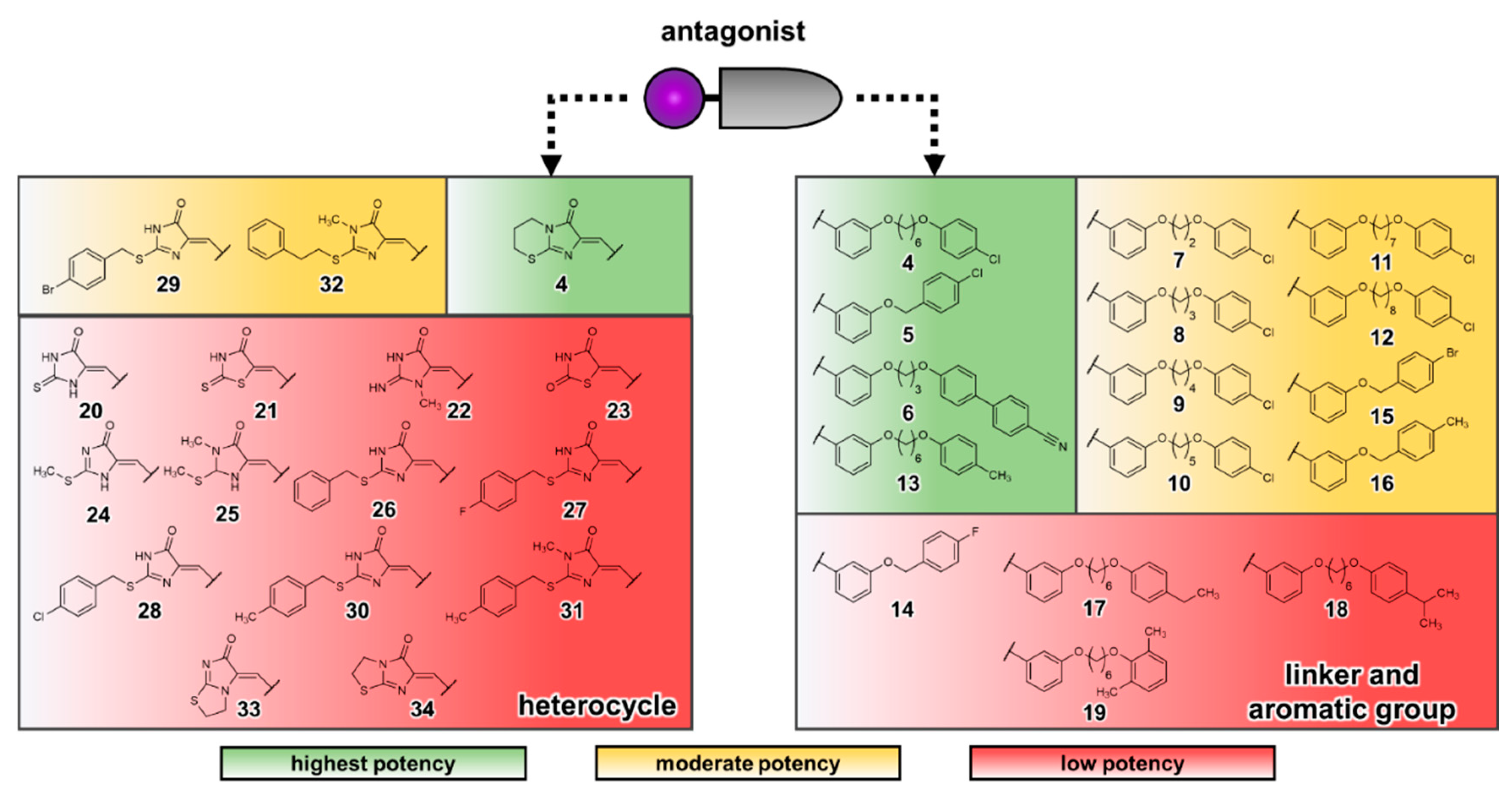 Biomolecules 10 00686 g007 Biomolecules 10 00686 g007