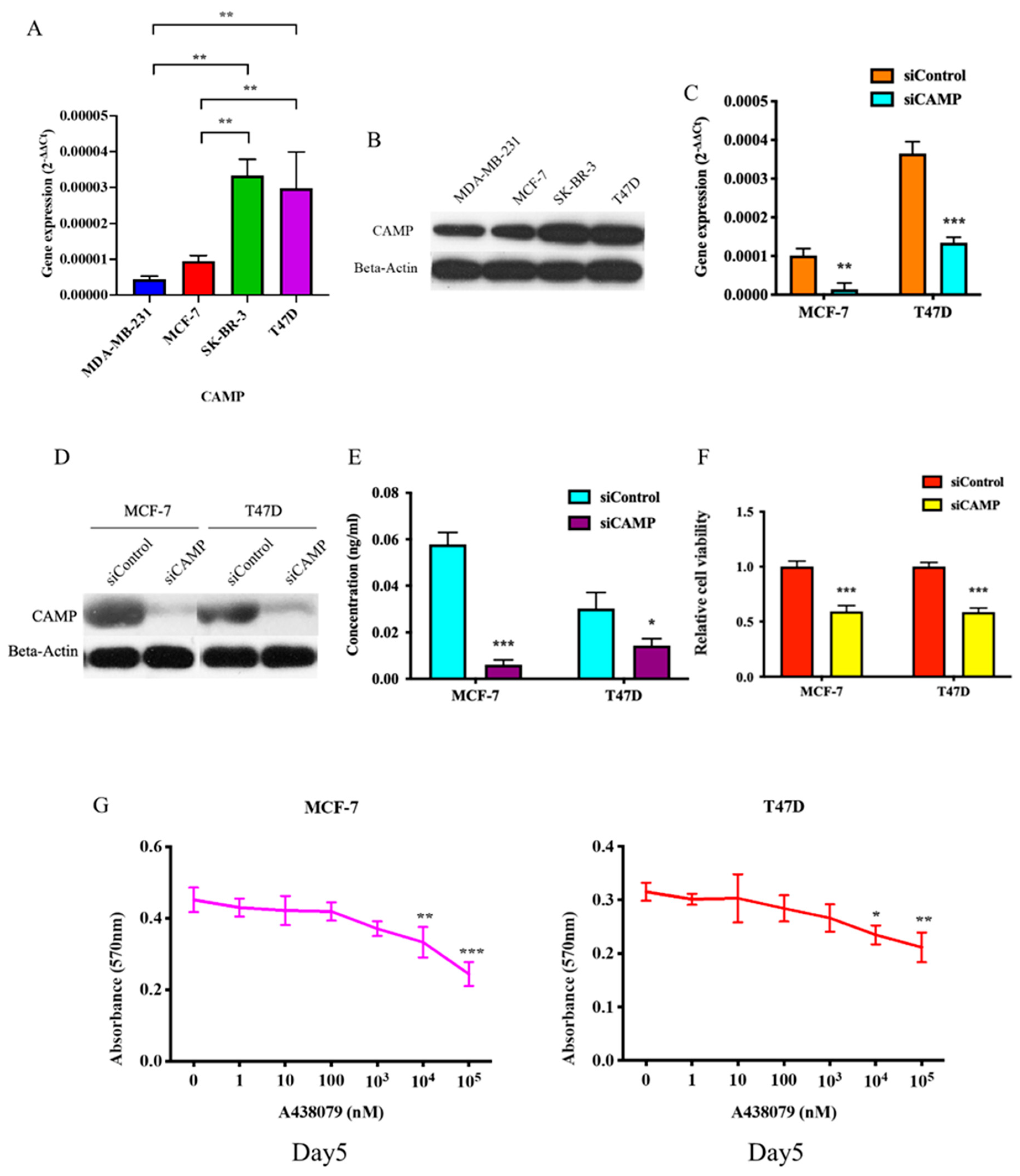 Biomolecules 10 00688 g002