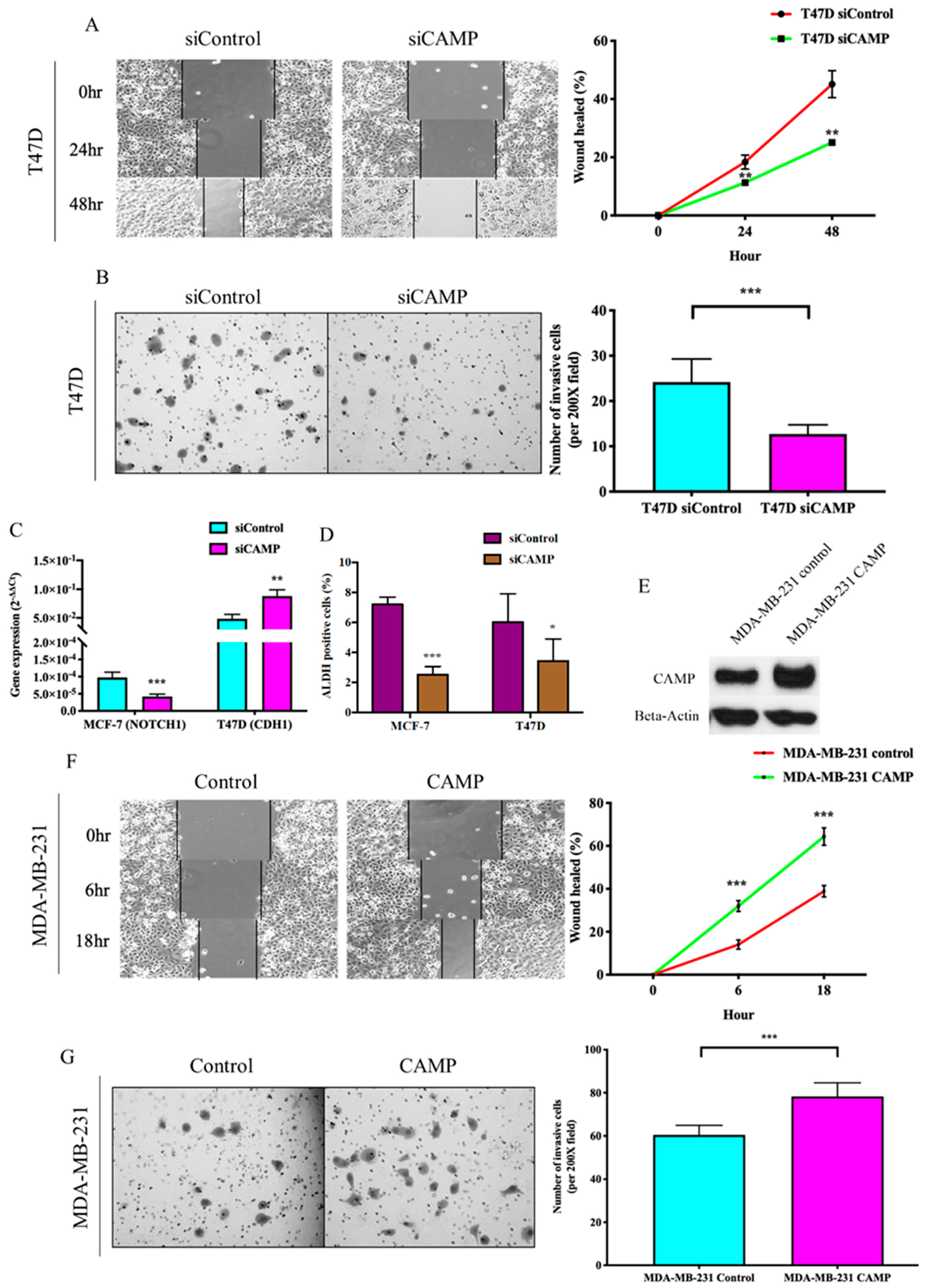 Biomolecules 10 00688 g004