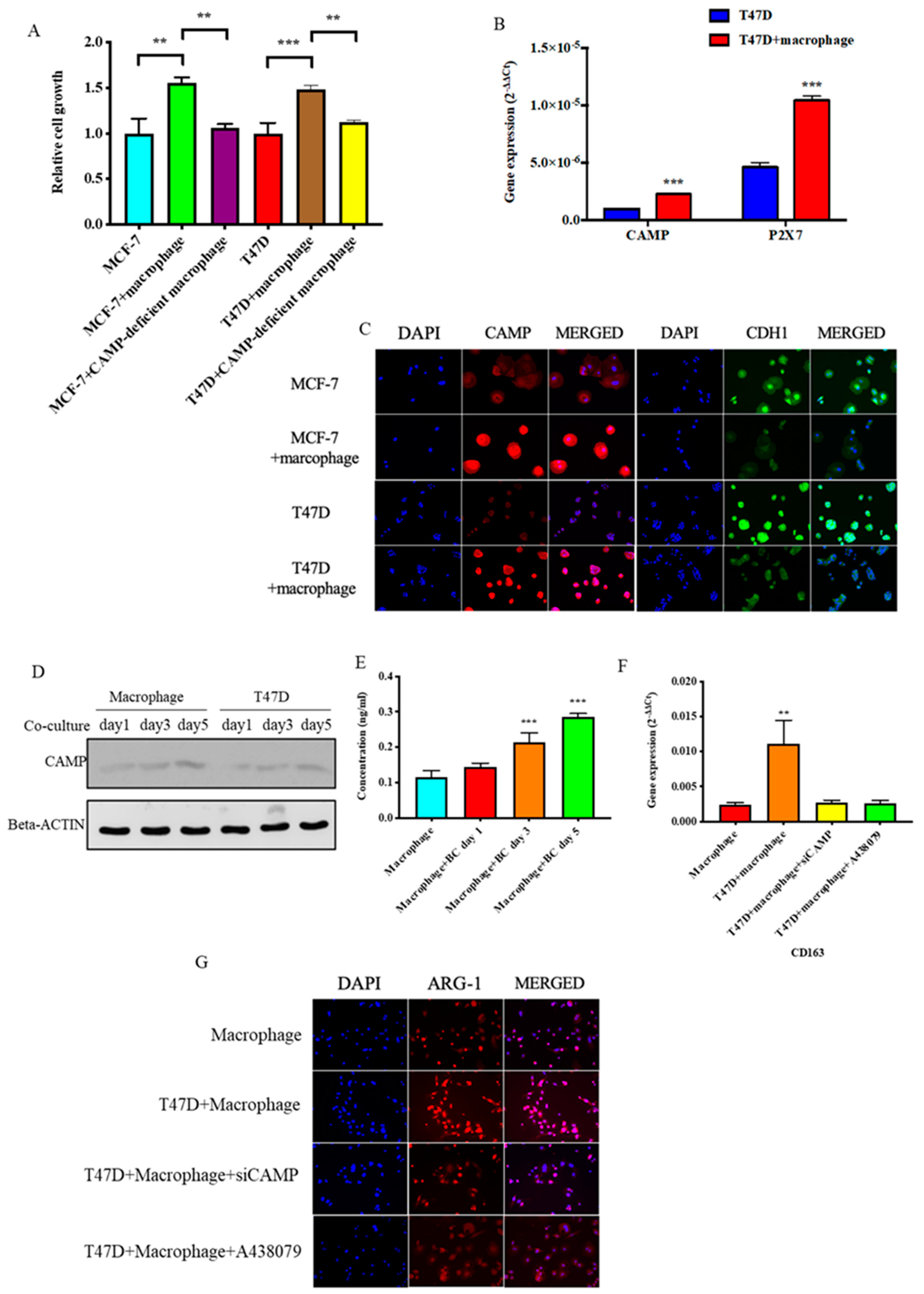 Biomolecules 10 00688 g006
