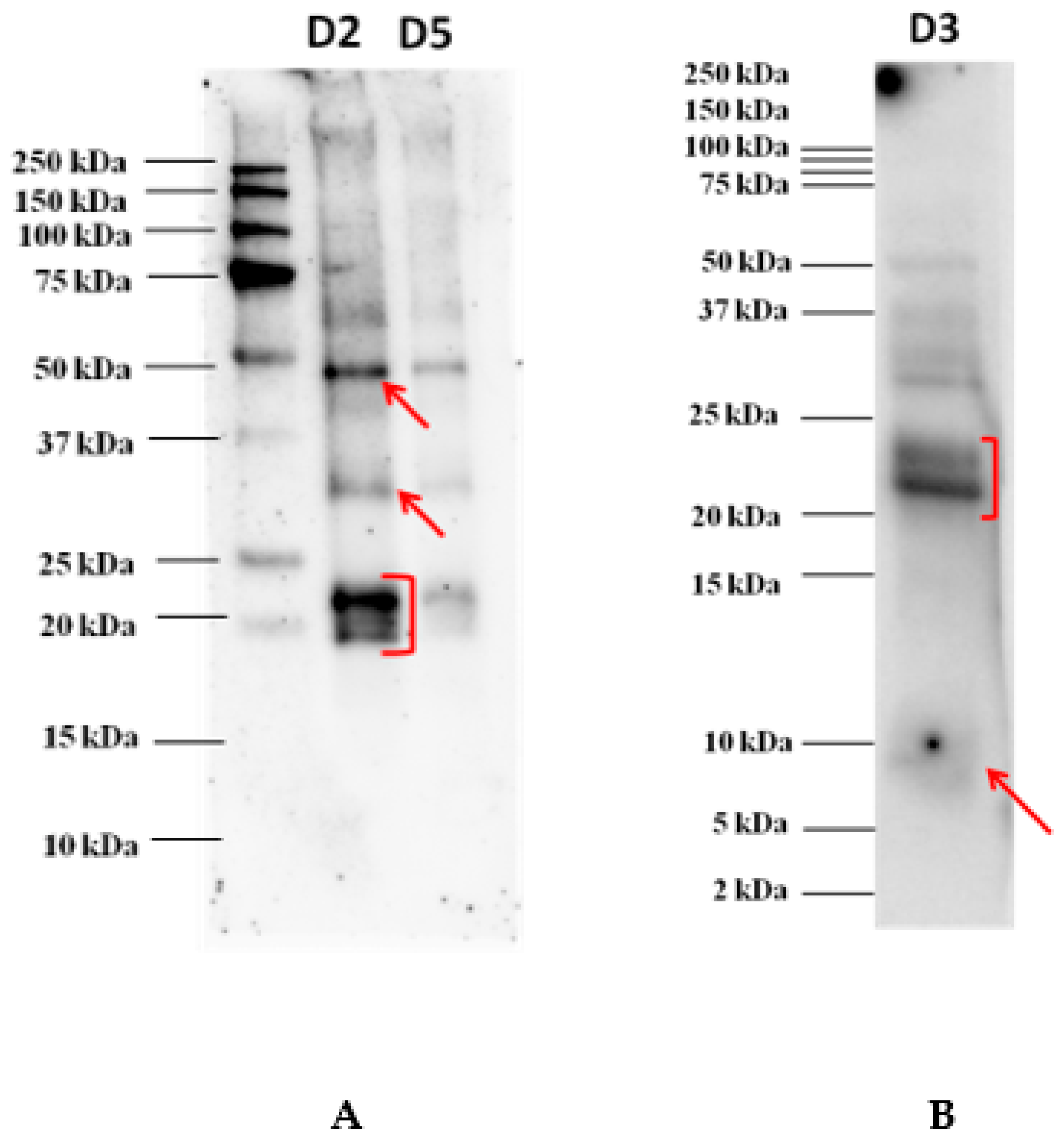 Biomolecules 10 00689 g002 Biomolecules 10 00689 g002