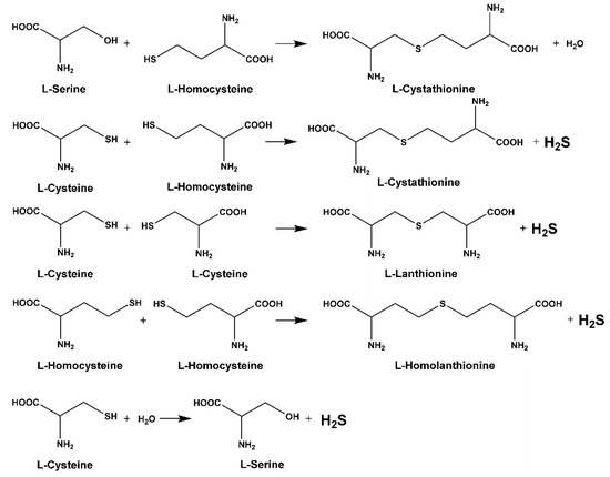Biomolecules Free Full Text Cystathionine B Synthase Molecular Regulation And Pharmacological Inhibition Html