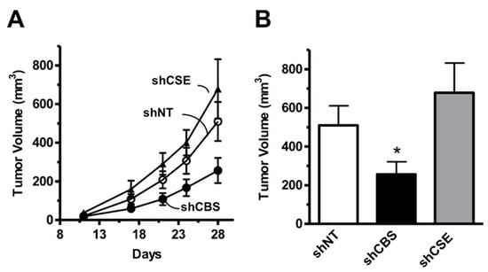 Biomolecules Free Full Text Cystathionine B Synthase Molecular Regulation And Pharmacological Inhibition Html