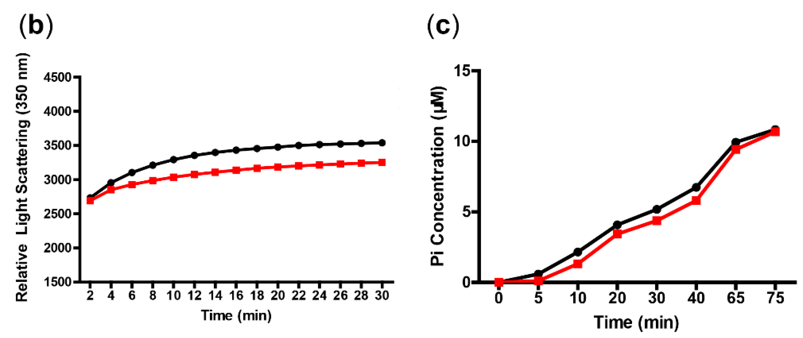 Biomolecules 10 00699 g003b Biomolecules 10 00699 g003b