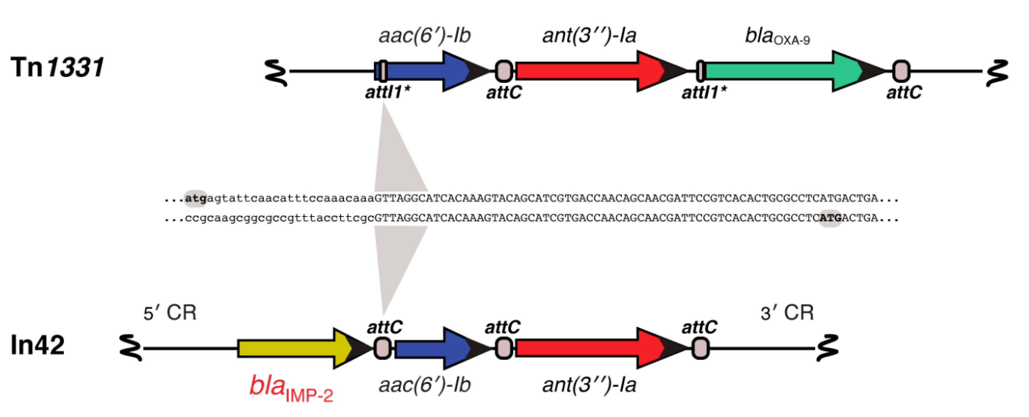 Biomolecules 10 00720 g004