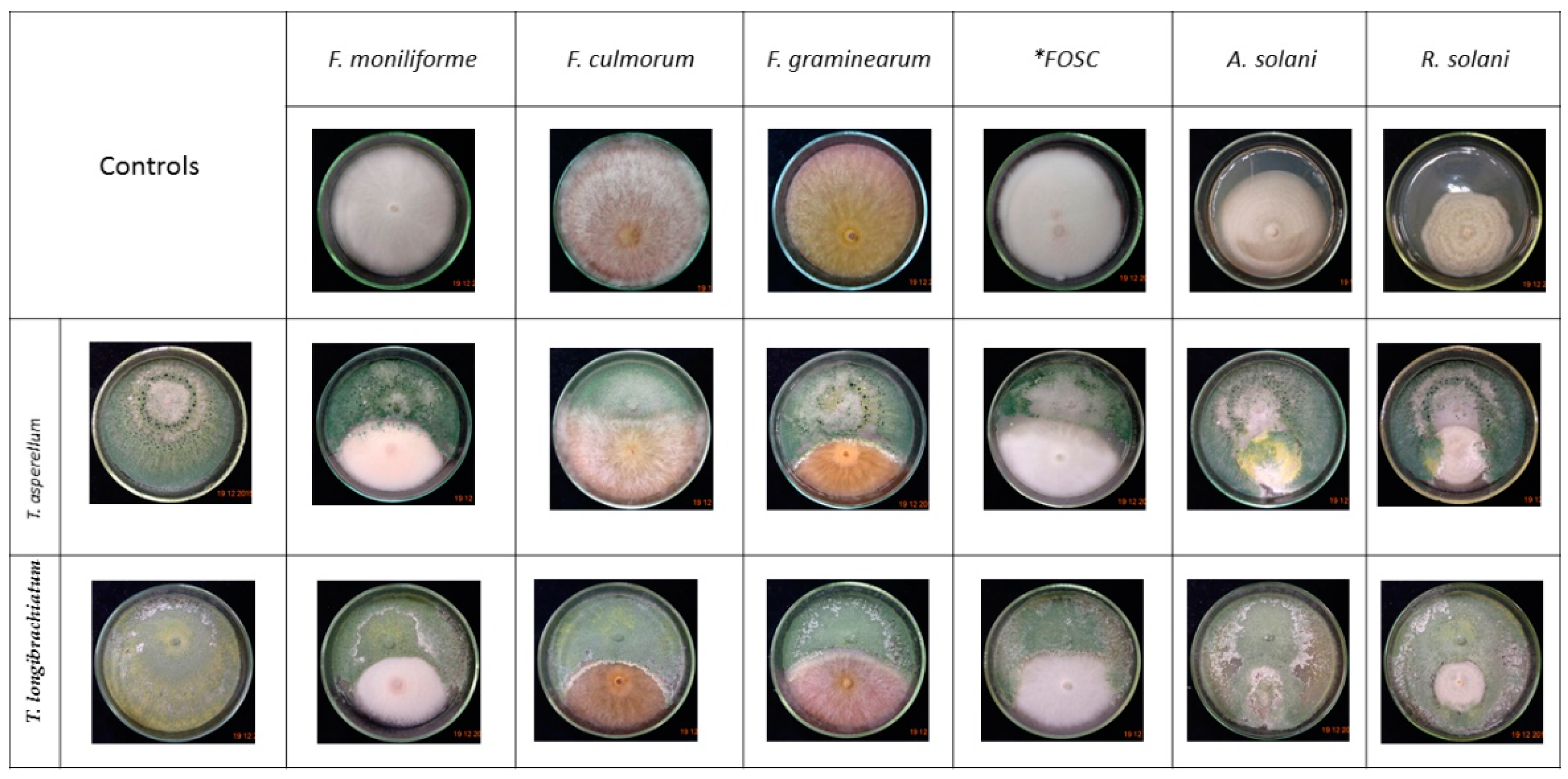 Biomolecules 10 00730 g003