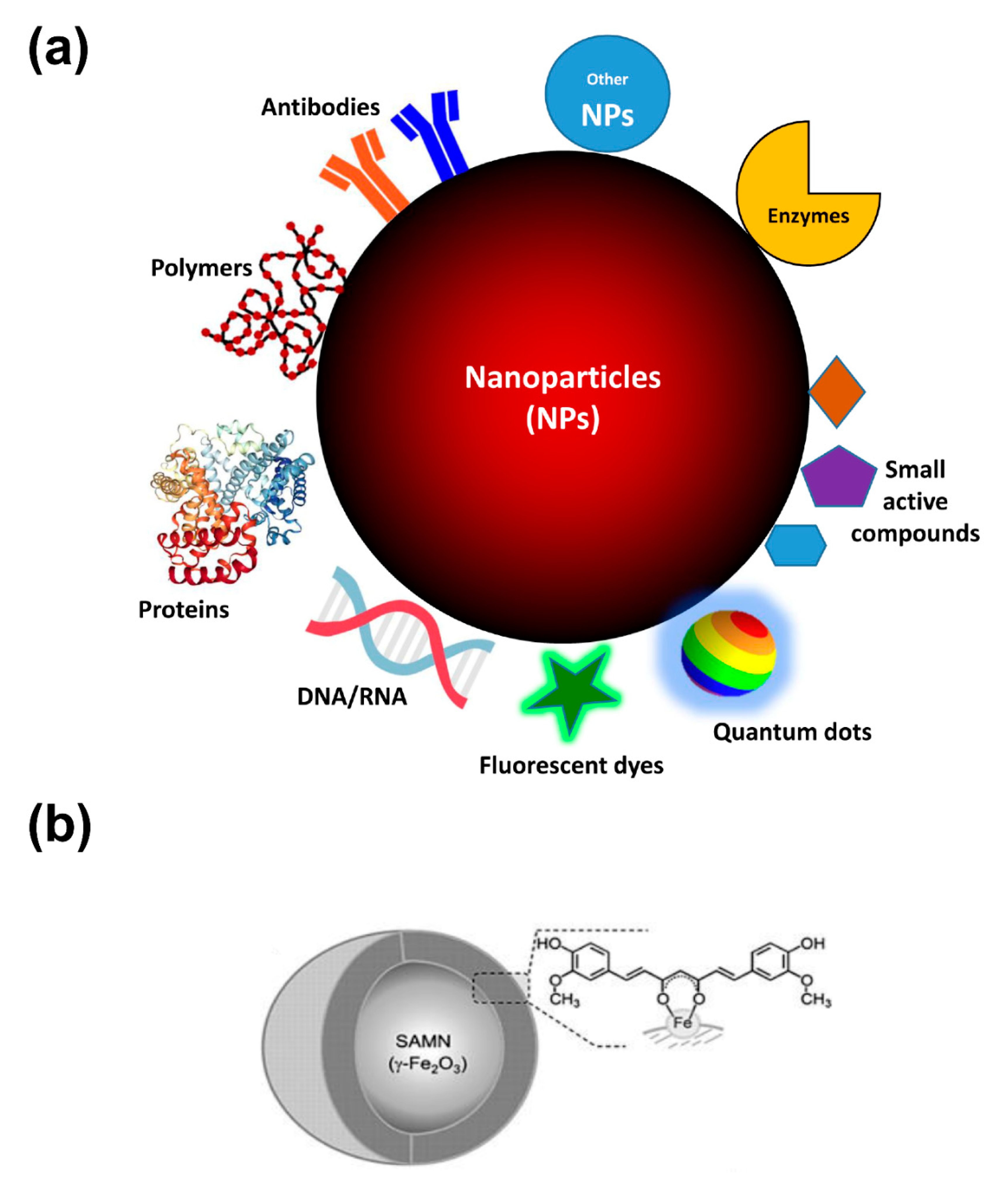 Biomolecules | Free Full-Text | Nanotechnology-Based Strategies to Develop  New Anticancer Therapies