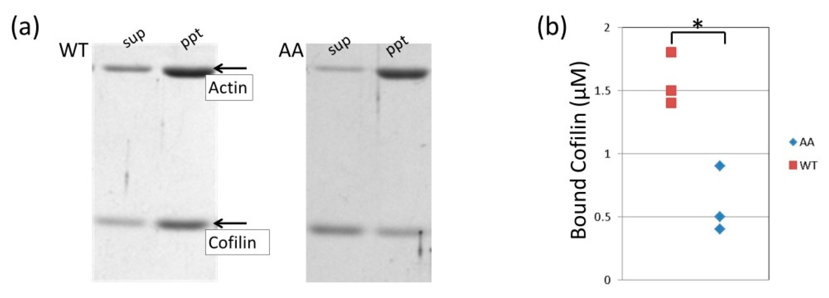 Biomolecules 10 00736 g005