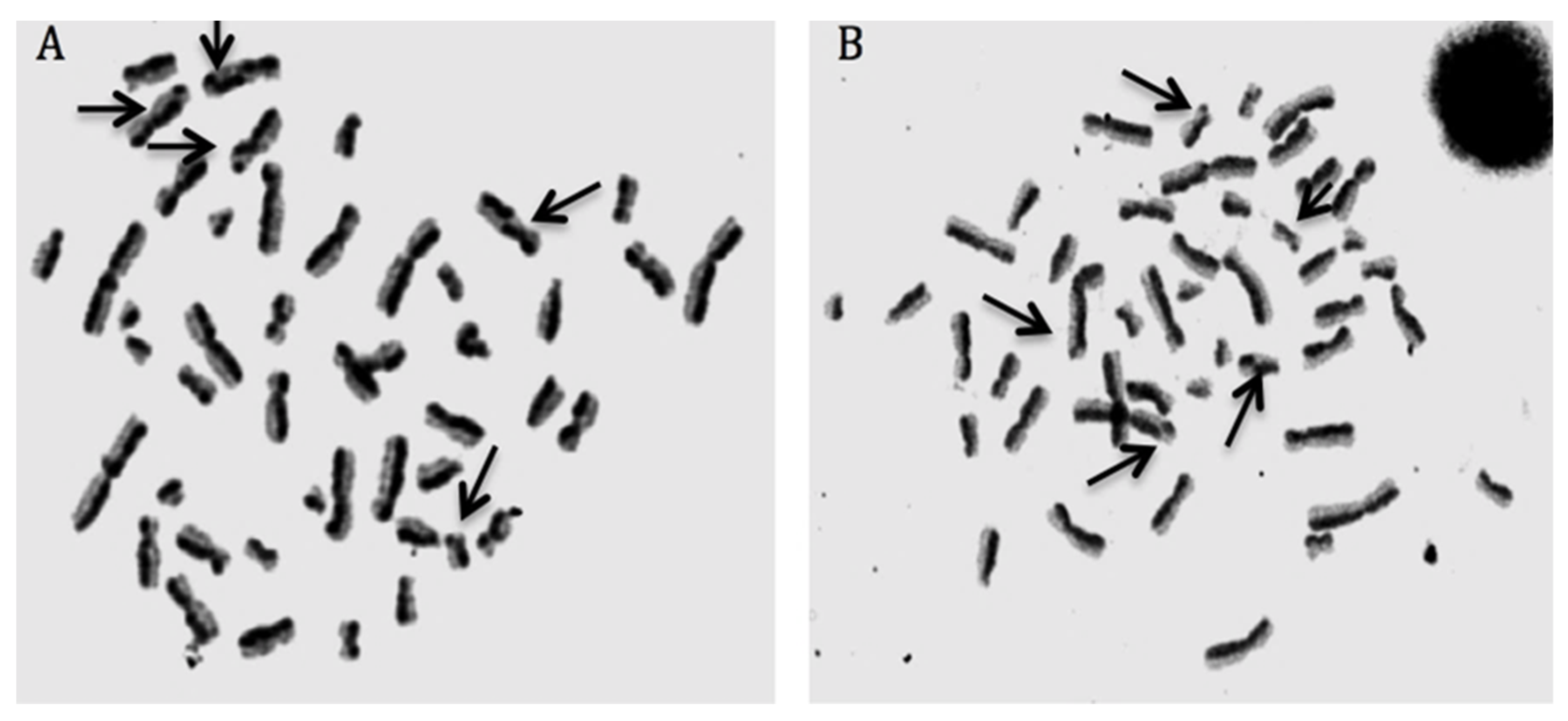 Biomolecules 10 00737 g007