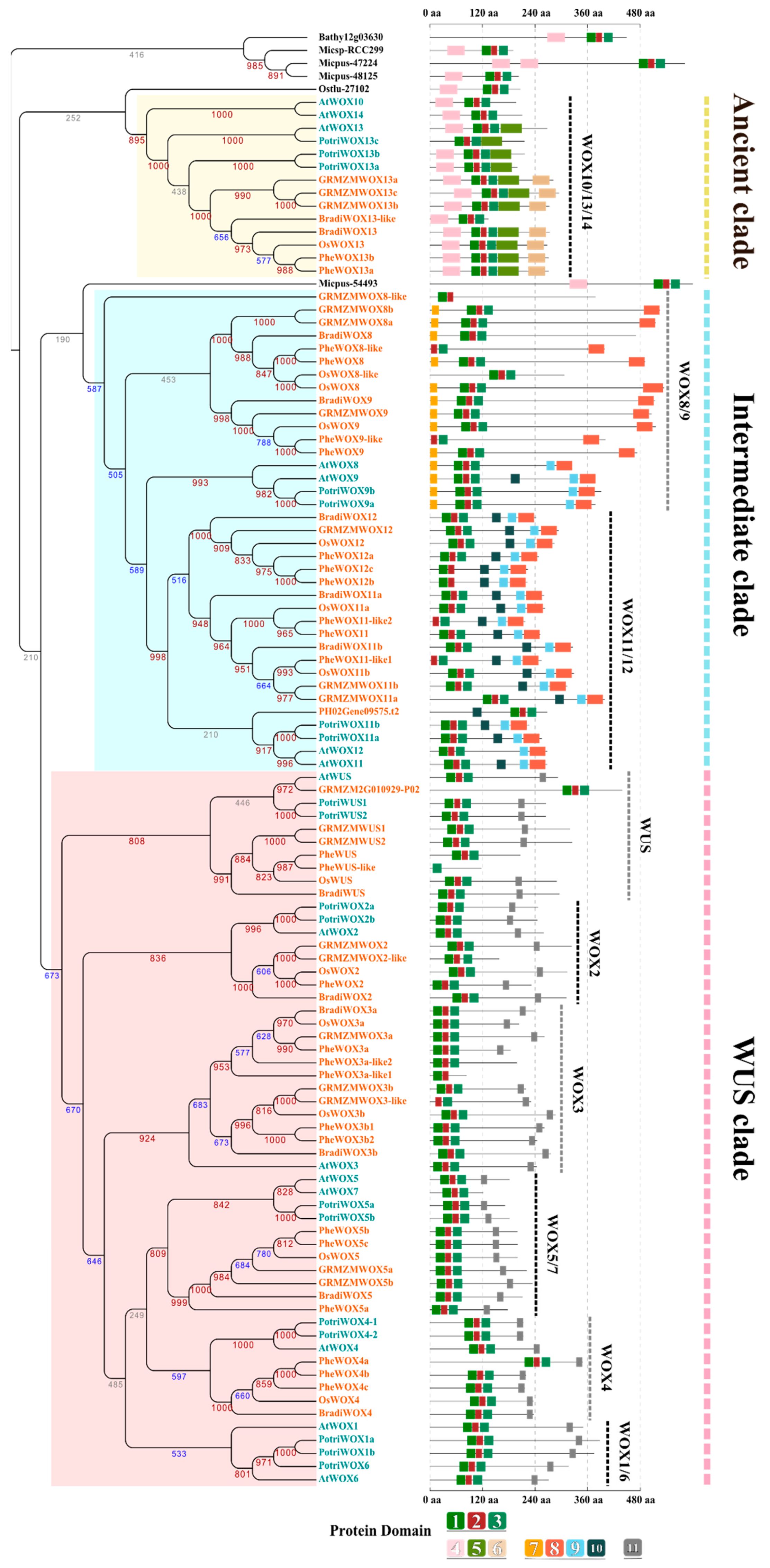 Biomolecules 10 00739 g002