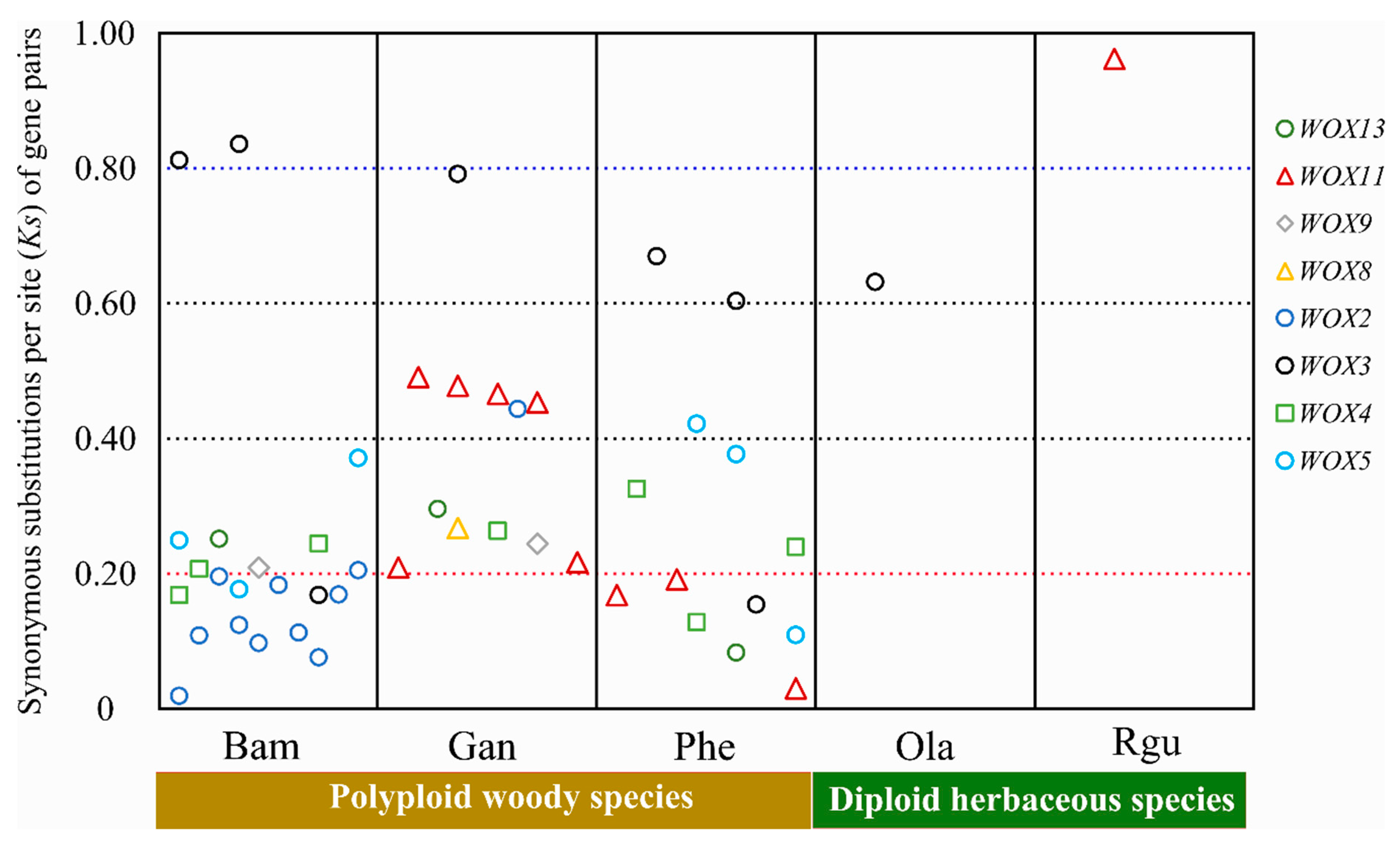 Biomolecules 10 00739 g006