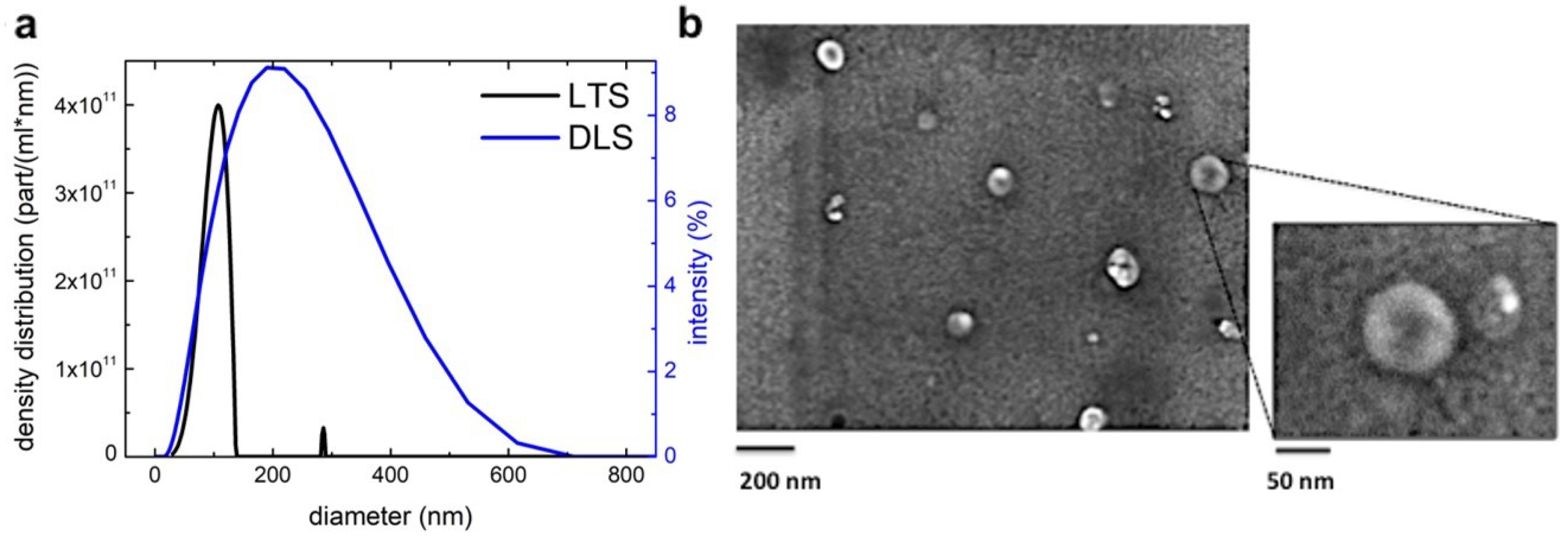 Biomolecules 10 00742 g001 Biomolecules 10 00742 g001