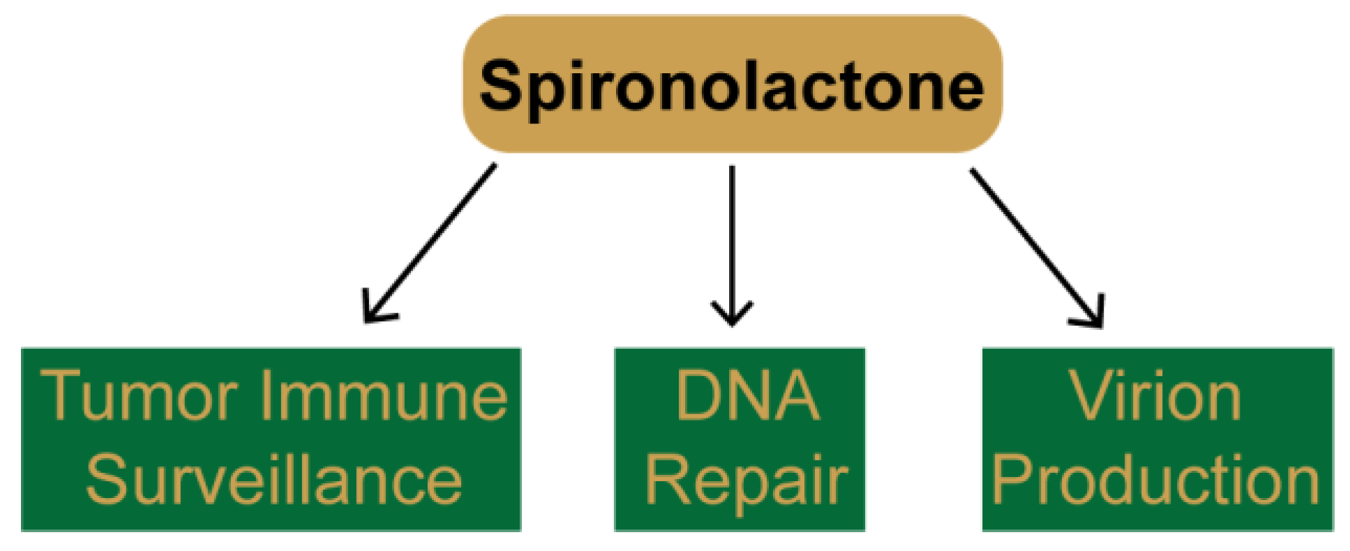 Biomolecules 10 00756 g003 Biomolecules 10 00756 g003
