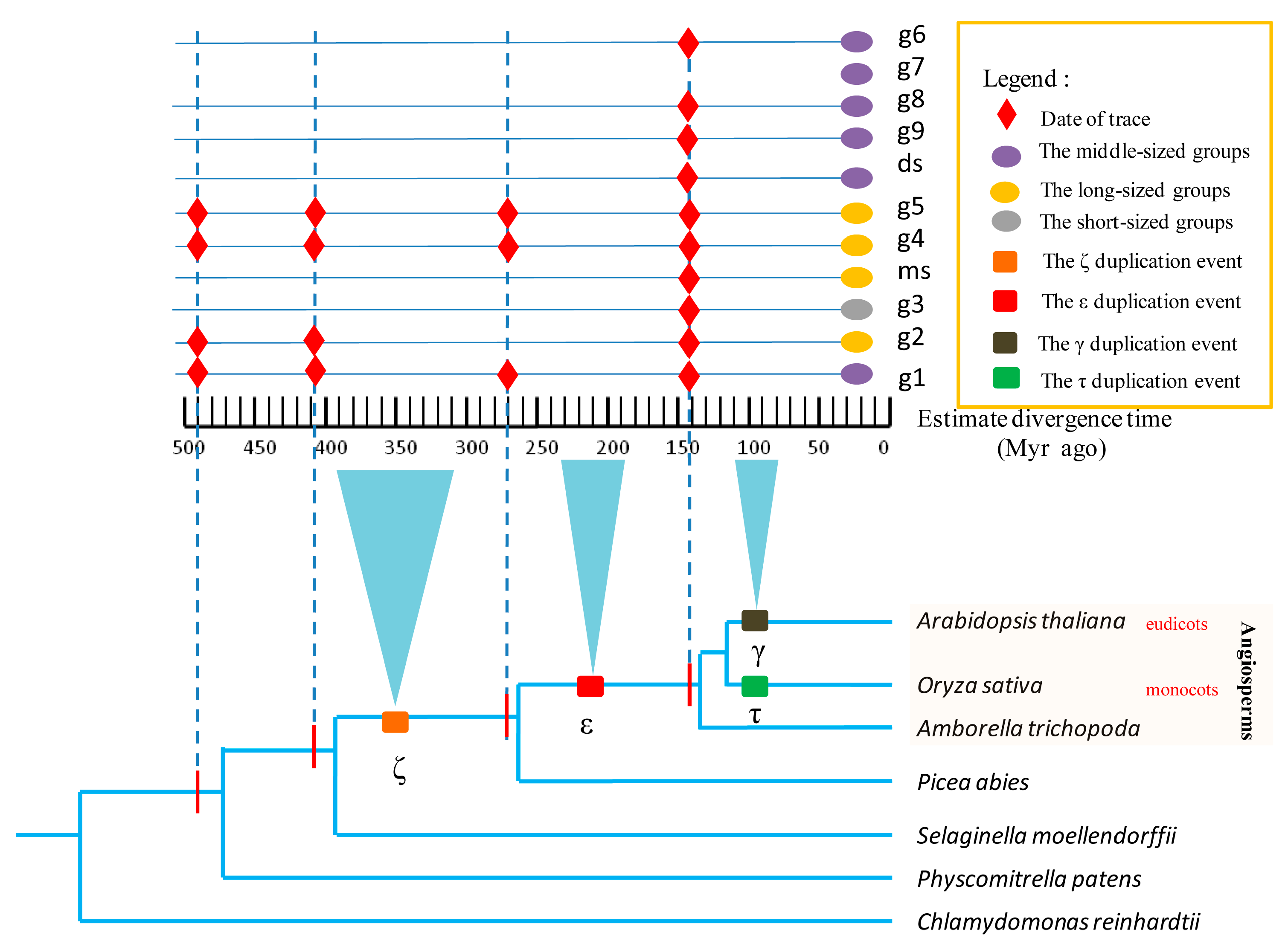 Biomolecules 10 00757 g002 Biomolecules 10 00757 g002