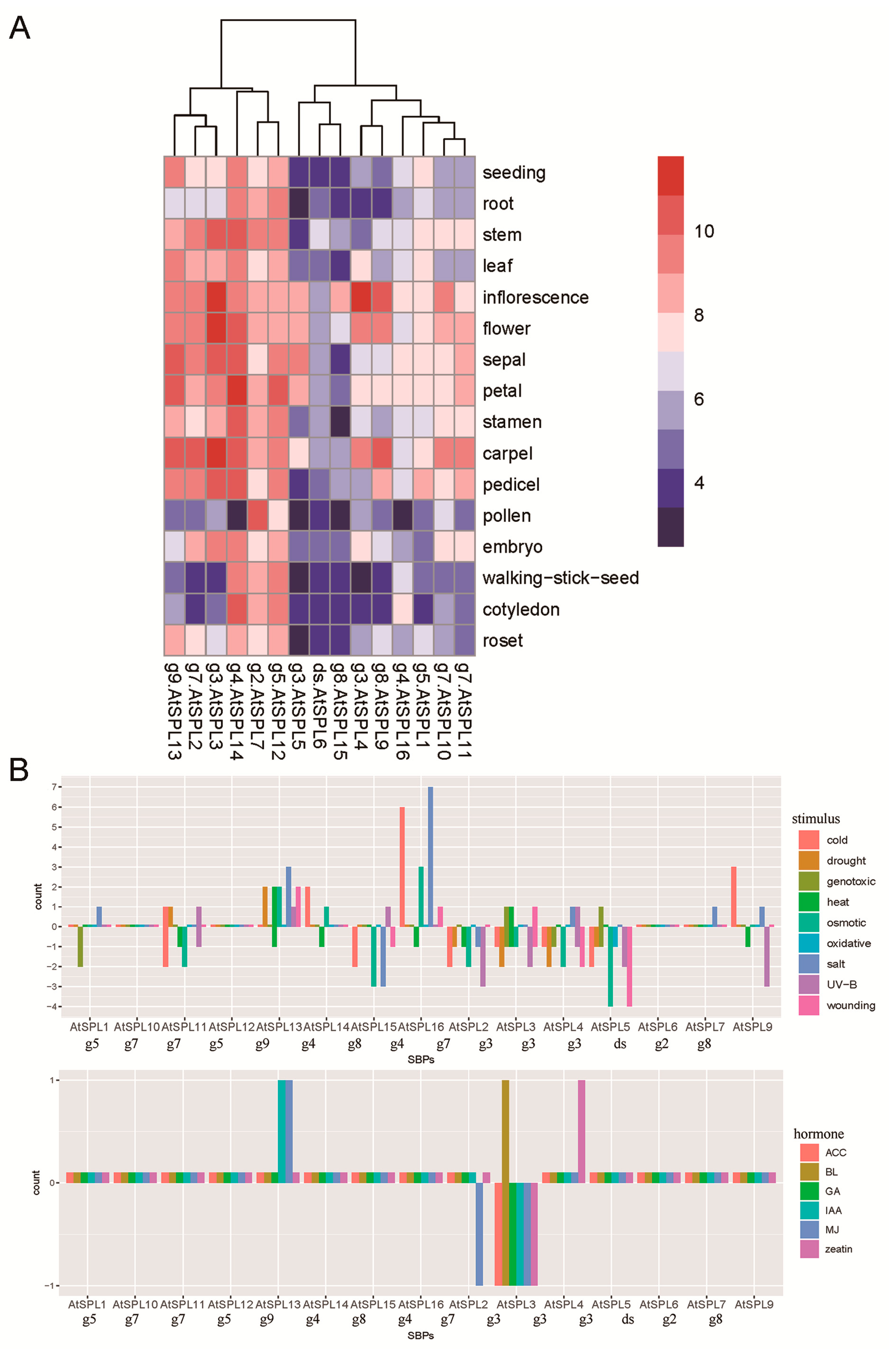 Biomolecules 10 00757 g007 Biomolecules 10 00757 g007