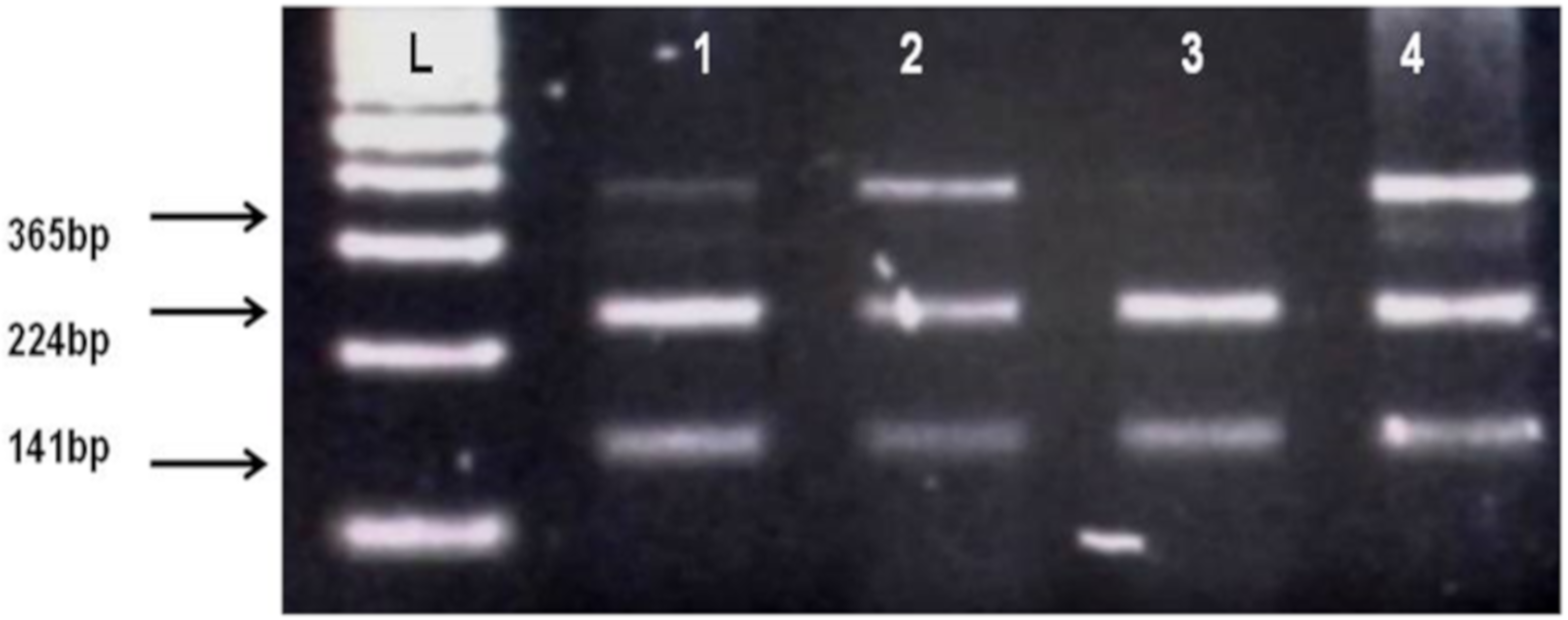 Biomolecules 10 00758 g002 Biomolecules 10 00758 g002