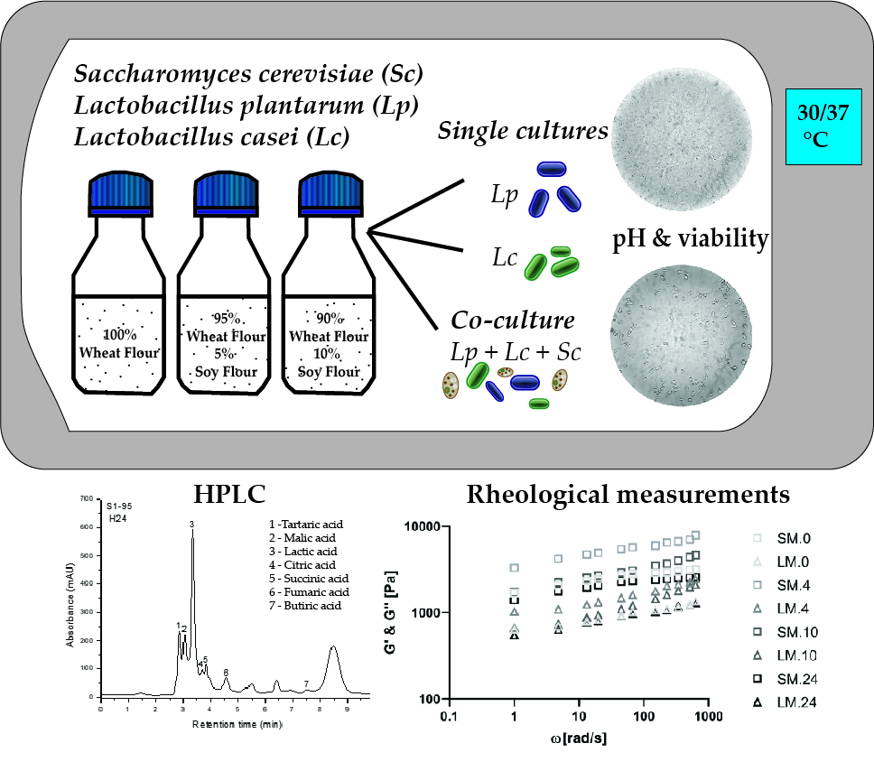 Biomolecules Free Full Text Exploitation Of Lactic Acid Bacteria And Baker S Yeast As Single Or Multiple Starter Cultures Of Wheat Flour Dough Enriched With Soy Flour