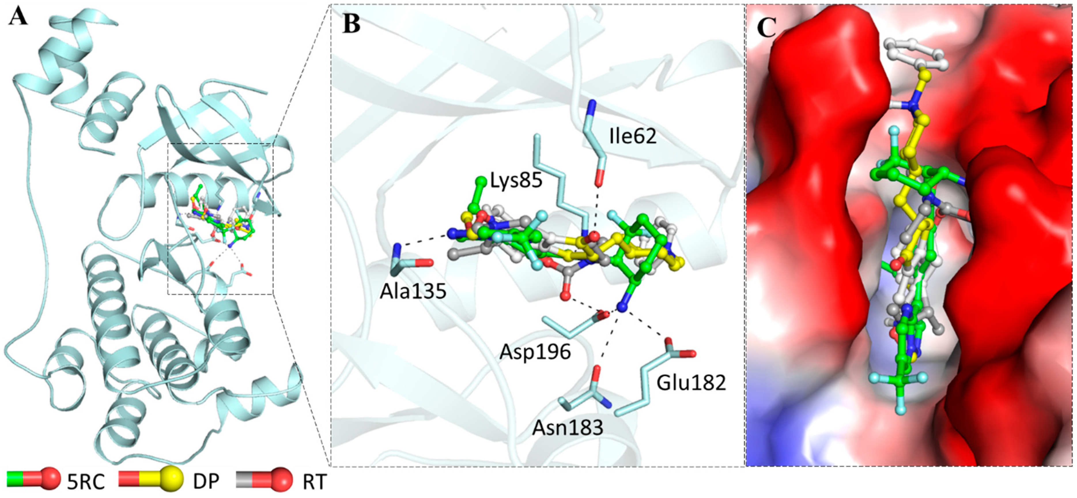 Biomolecules 10 00789 g007 Biomolecules 10 00789 g007