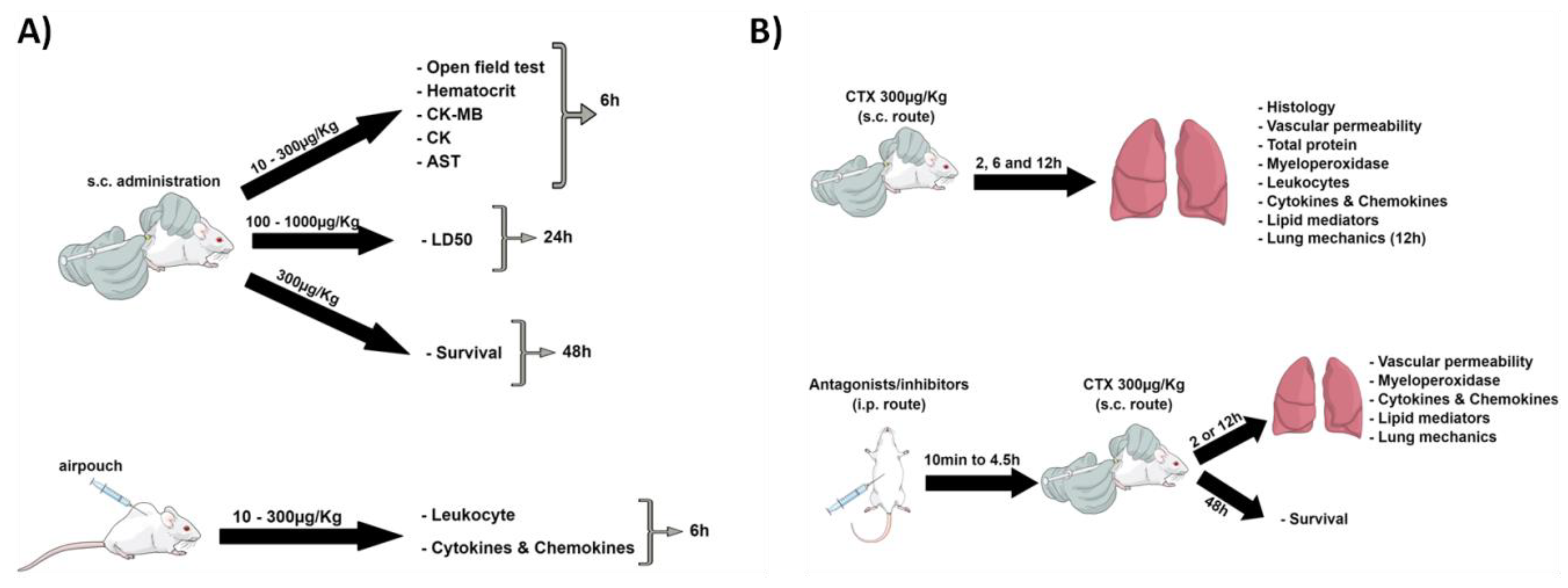 Biomolecules | Free Full-Text | Crotoxin-Induced Mice Lung Impairment: Role  of Nicotinic Acetylcholine Receptors and COX-Derived Prostanoids