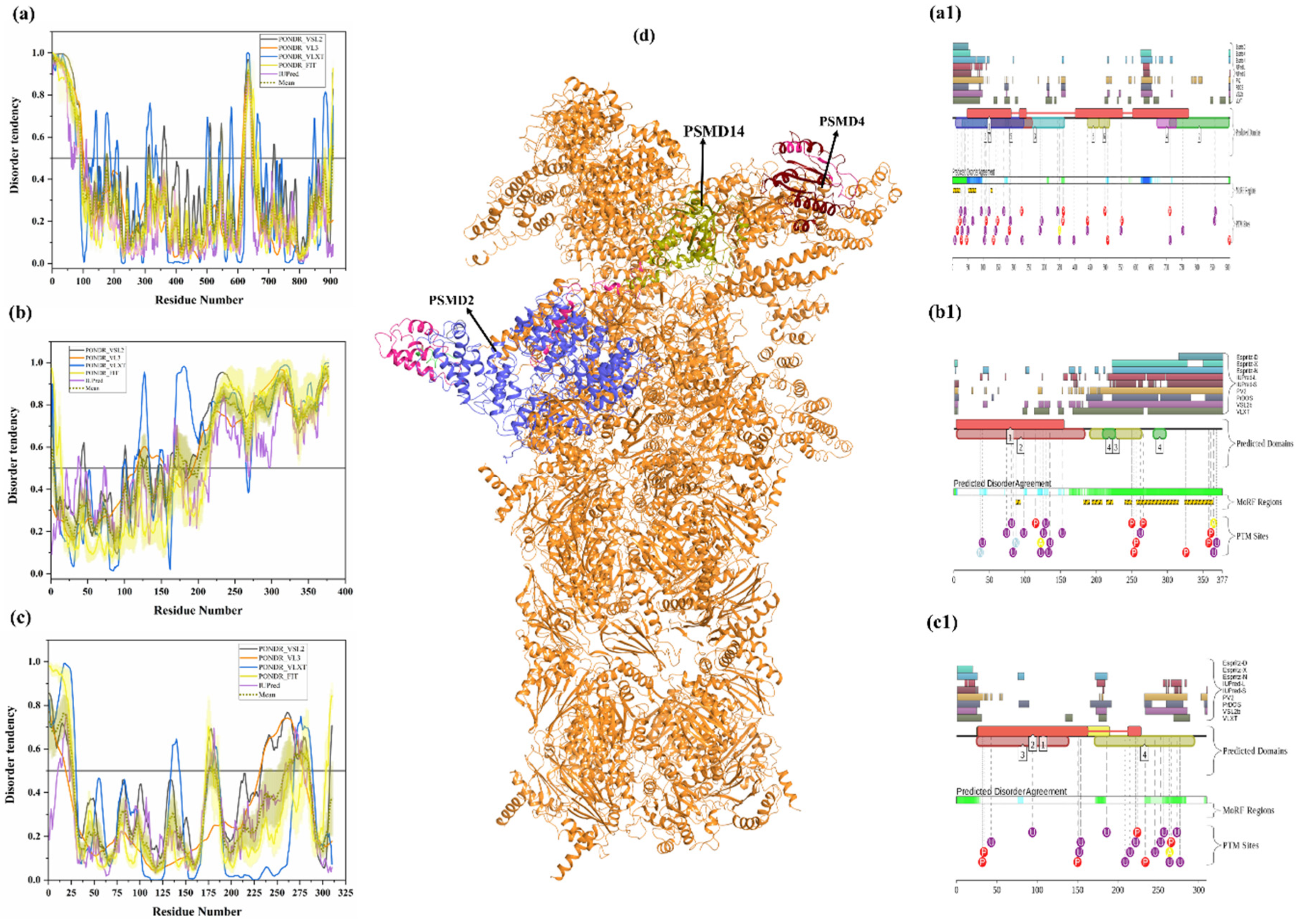 Biomolecules 10 00796 g011
