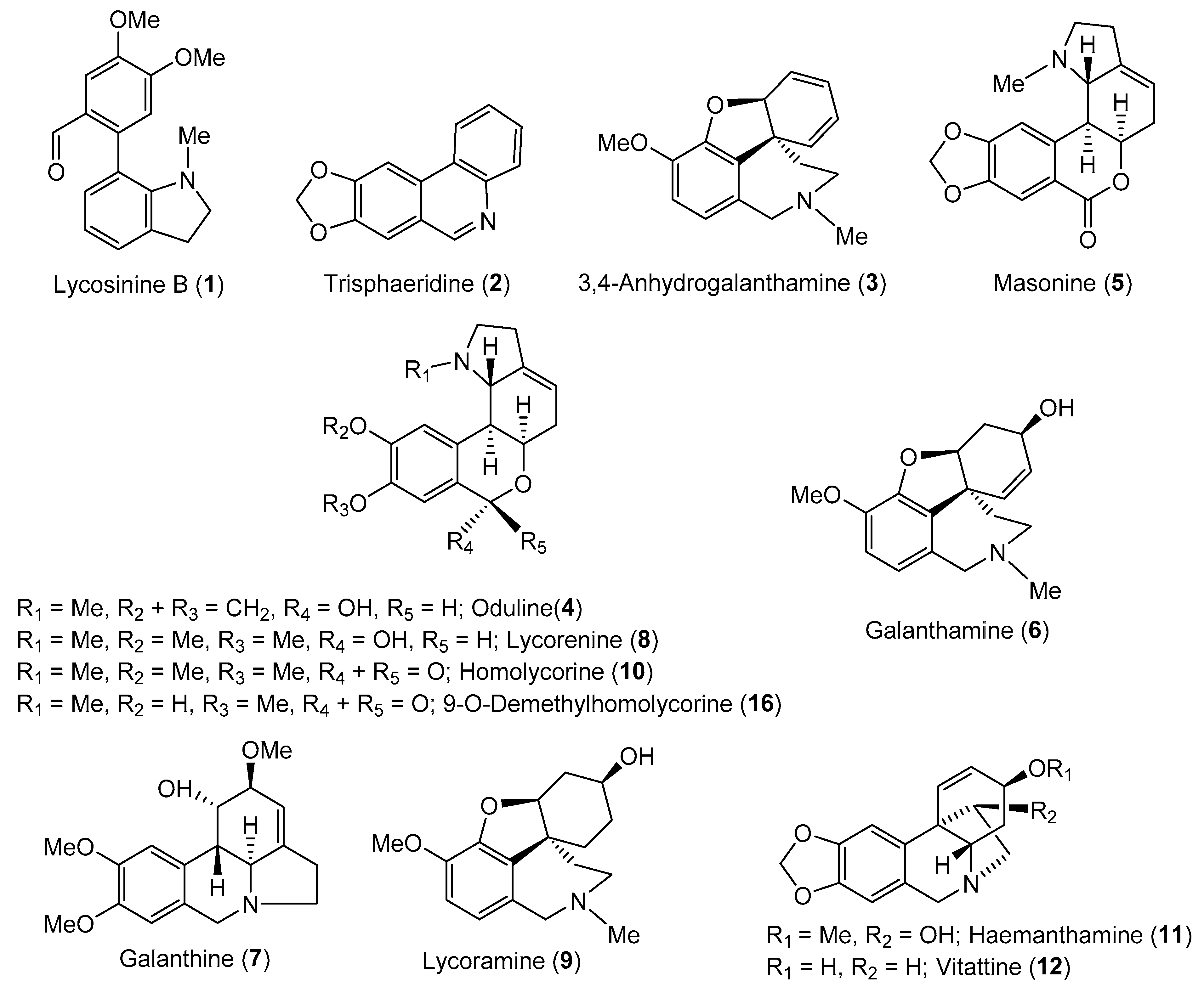 Biomolecules 10 00800 g001 Biomolecules 10 00800 g001