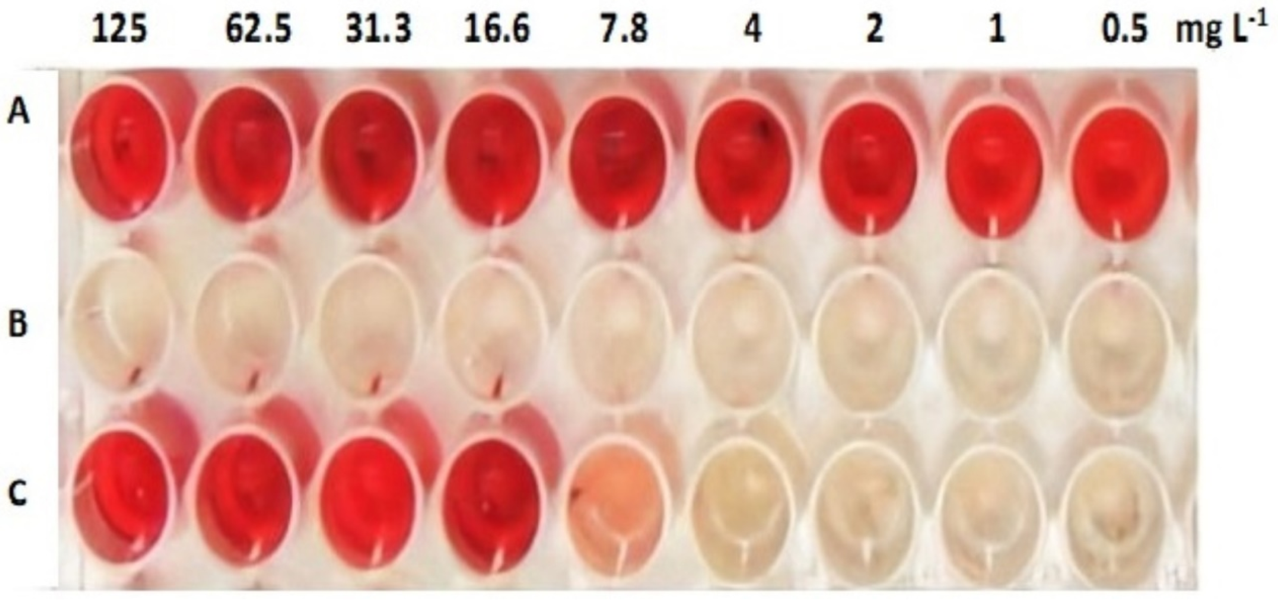 Biomolecules 10 00811 g005