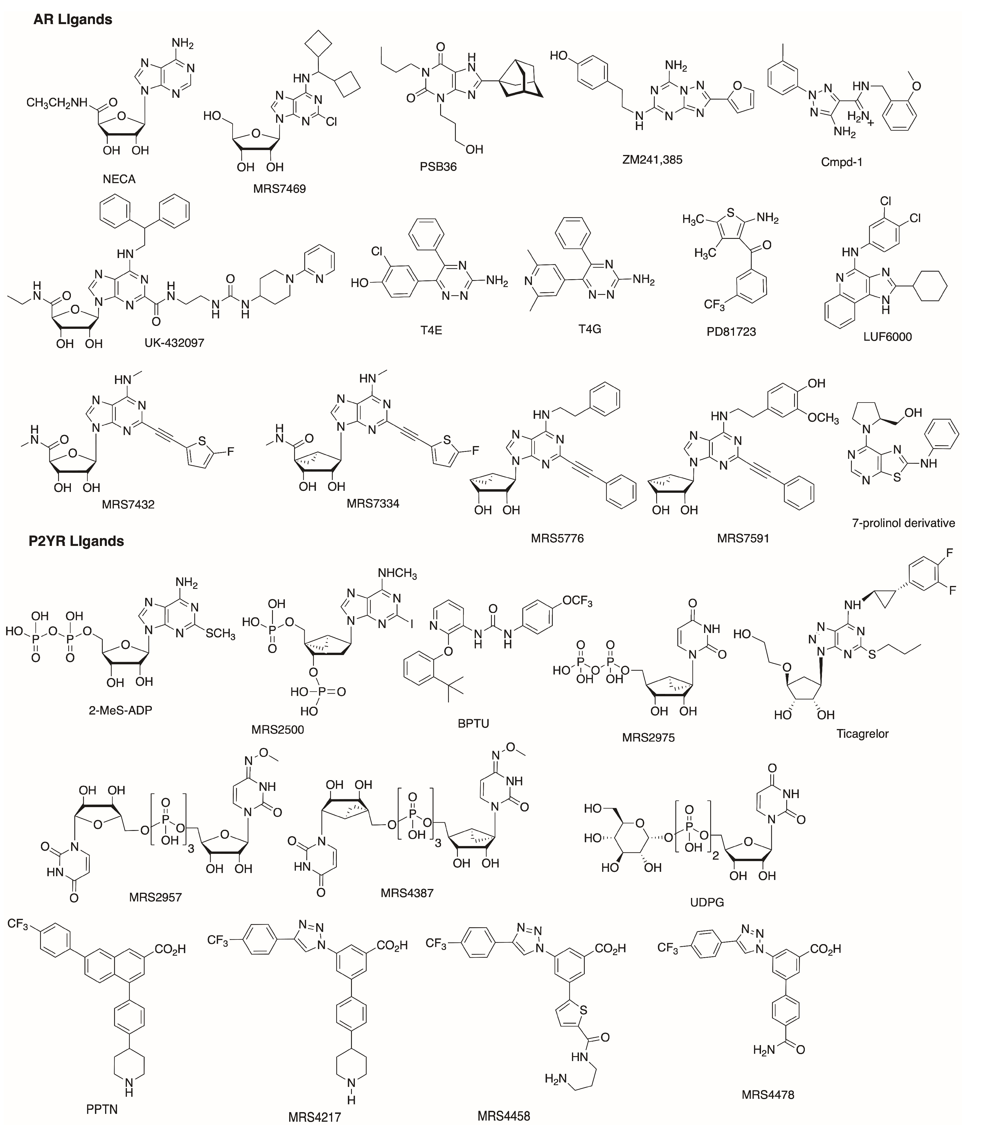 Biomolecules 10 00812 g001 Biomolecules 10 00812 g001