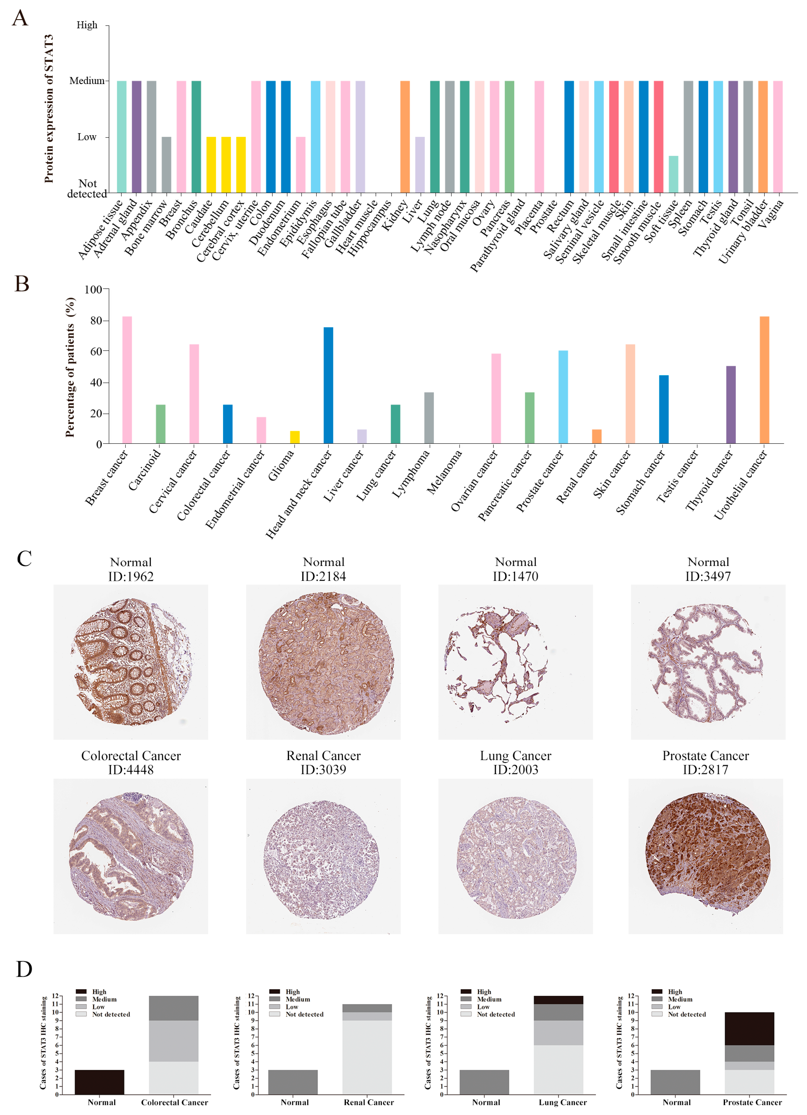 Biomolecules 10 00834 g002