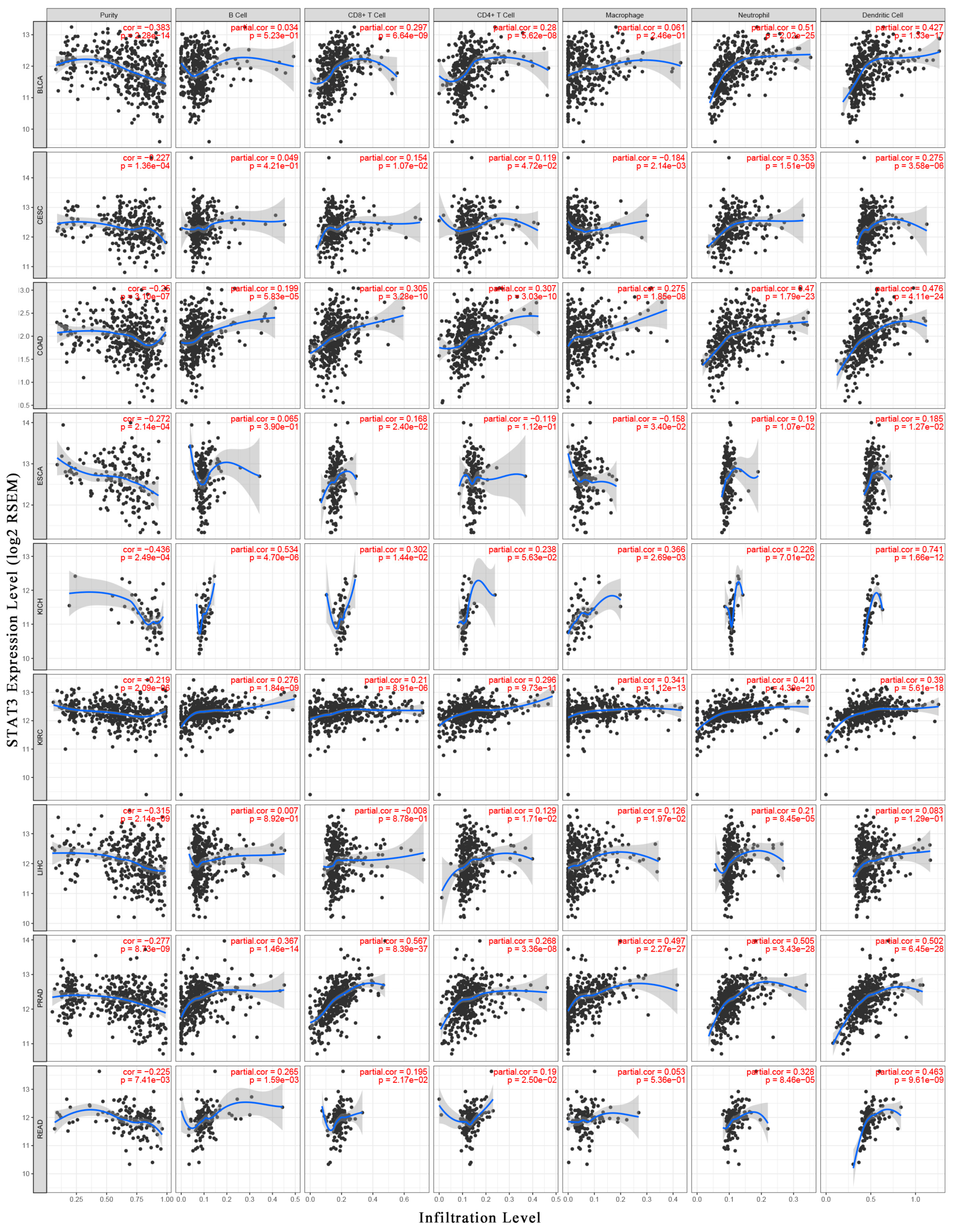 Biomolecules 10 00834 g003