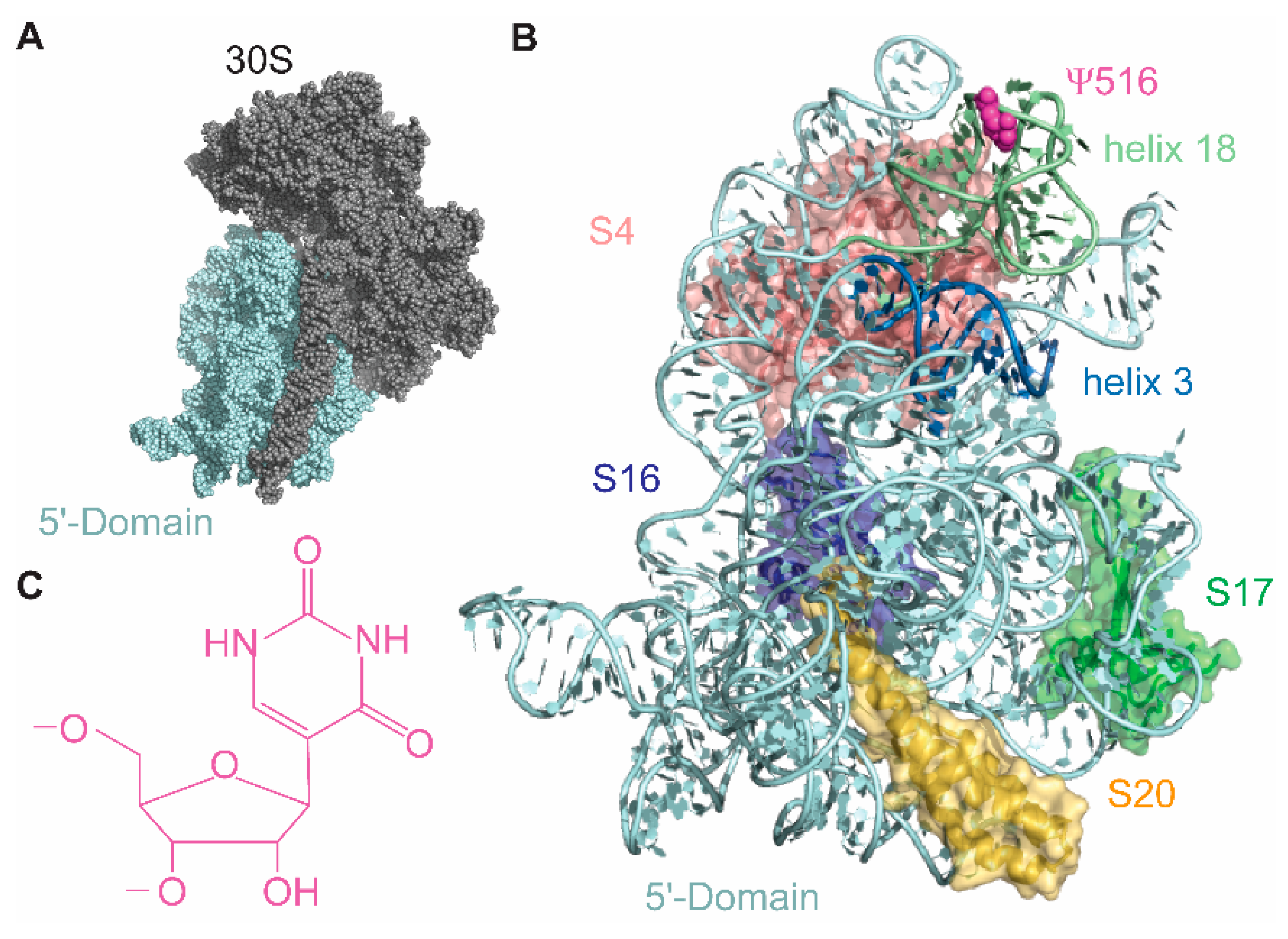 Biomolecules 10 00841 g001 Biomolecules 10 00841 g001