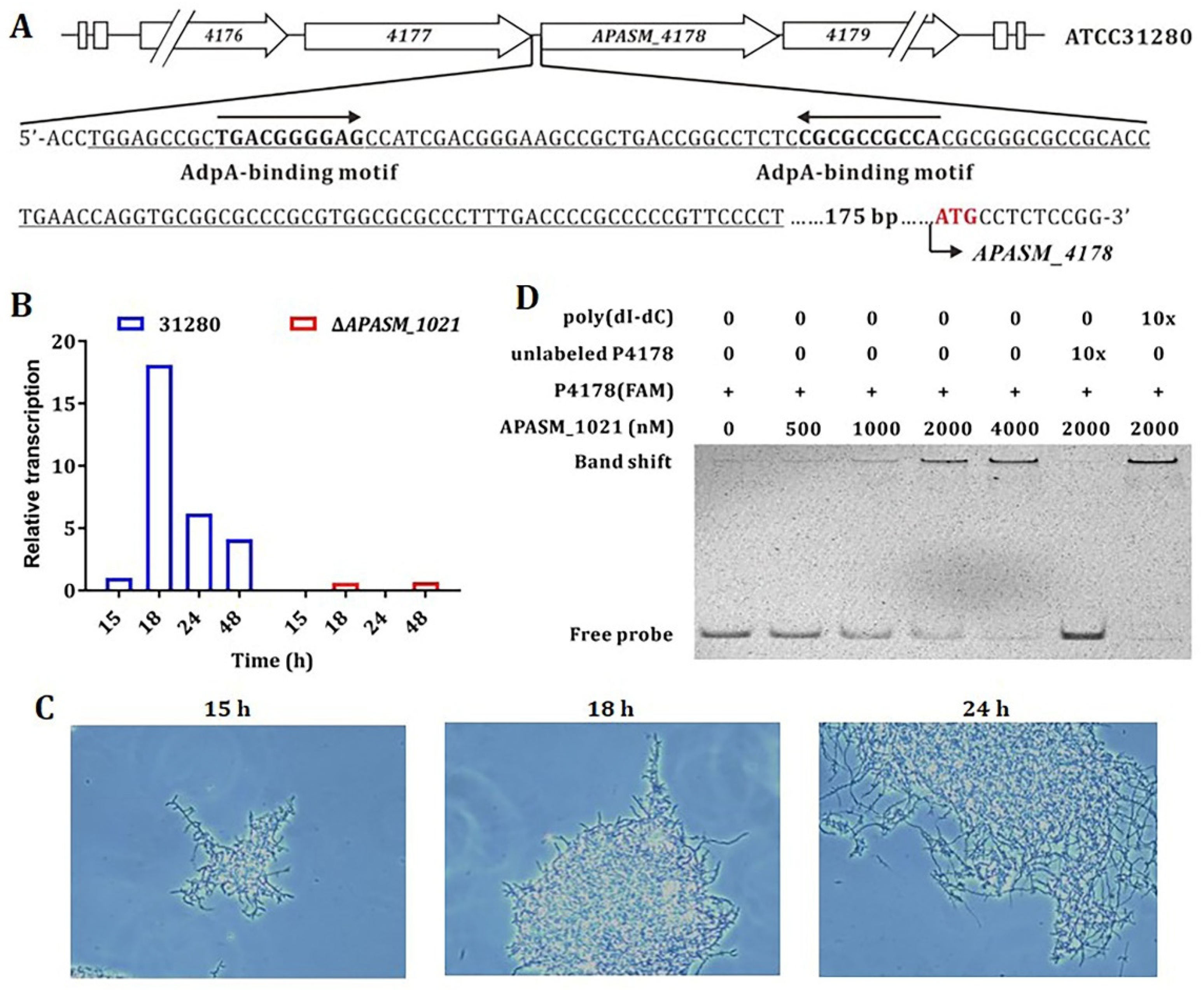 Biomolecules 10 00851 g003