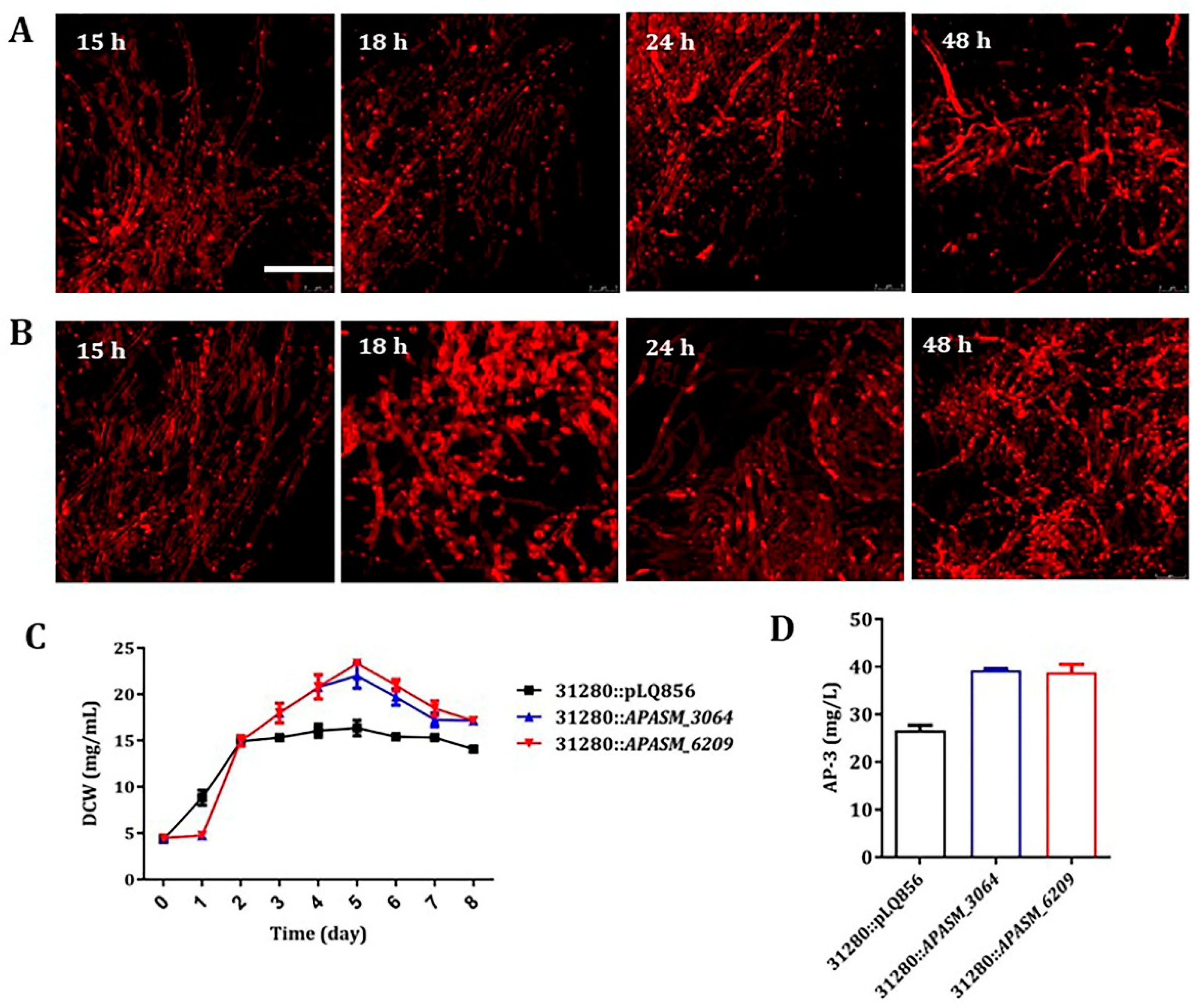 Biomolecules 10 00851 g004