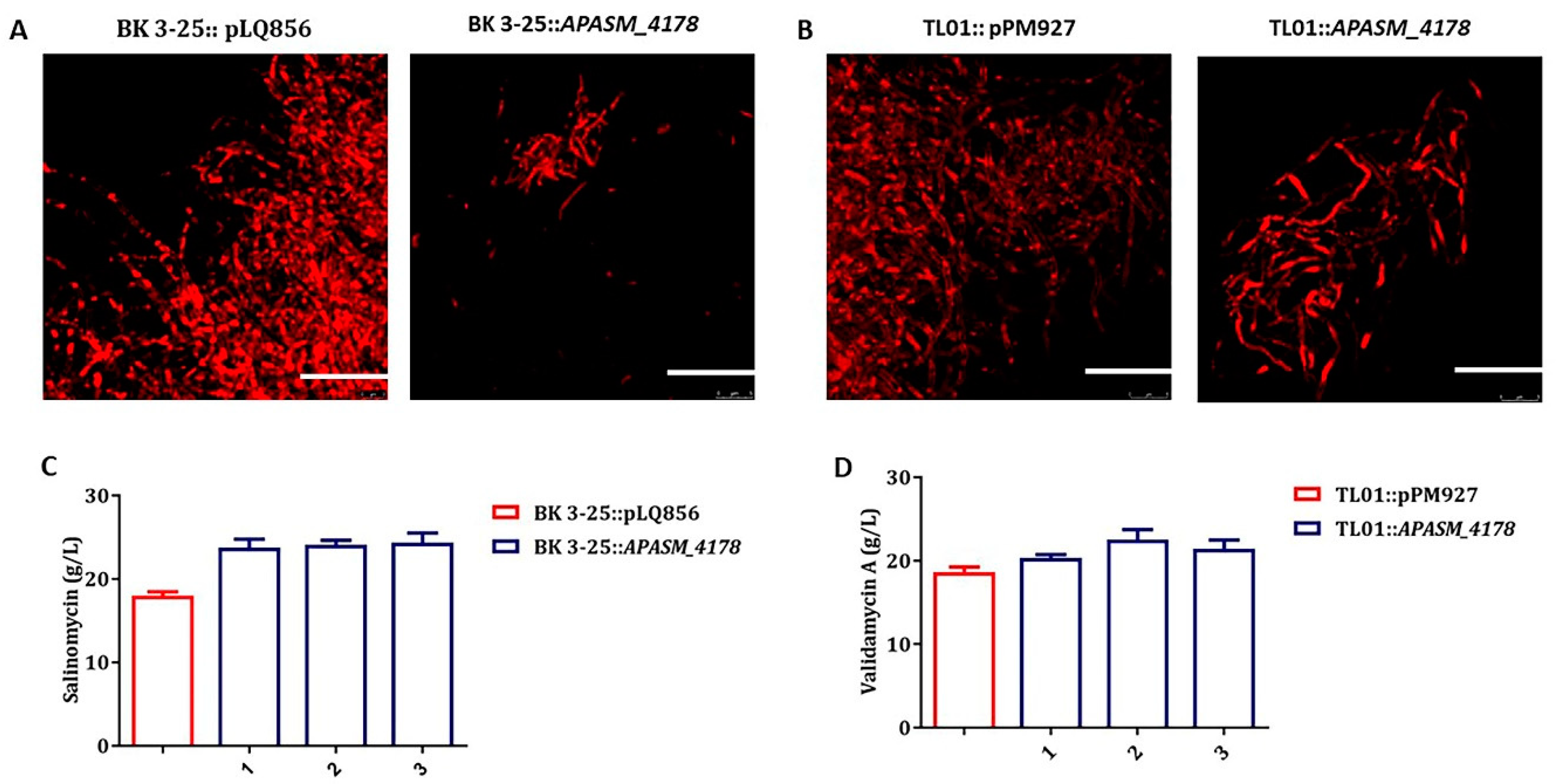 Biomolecules 10 00851 g005