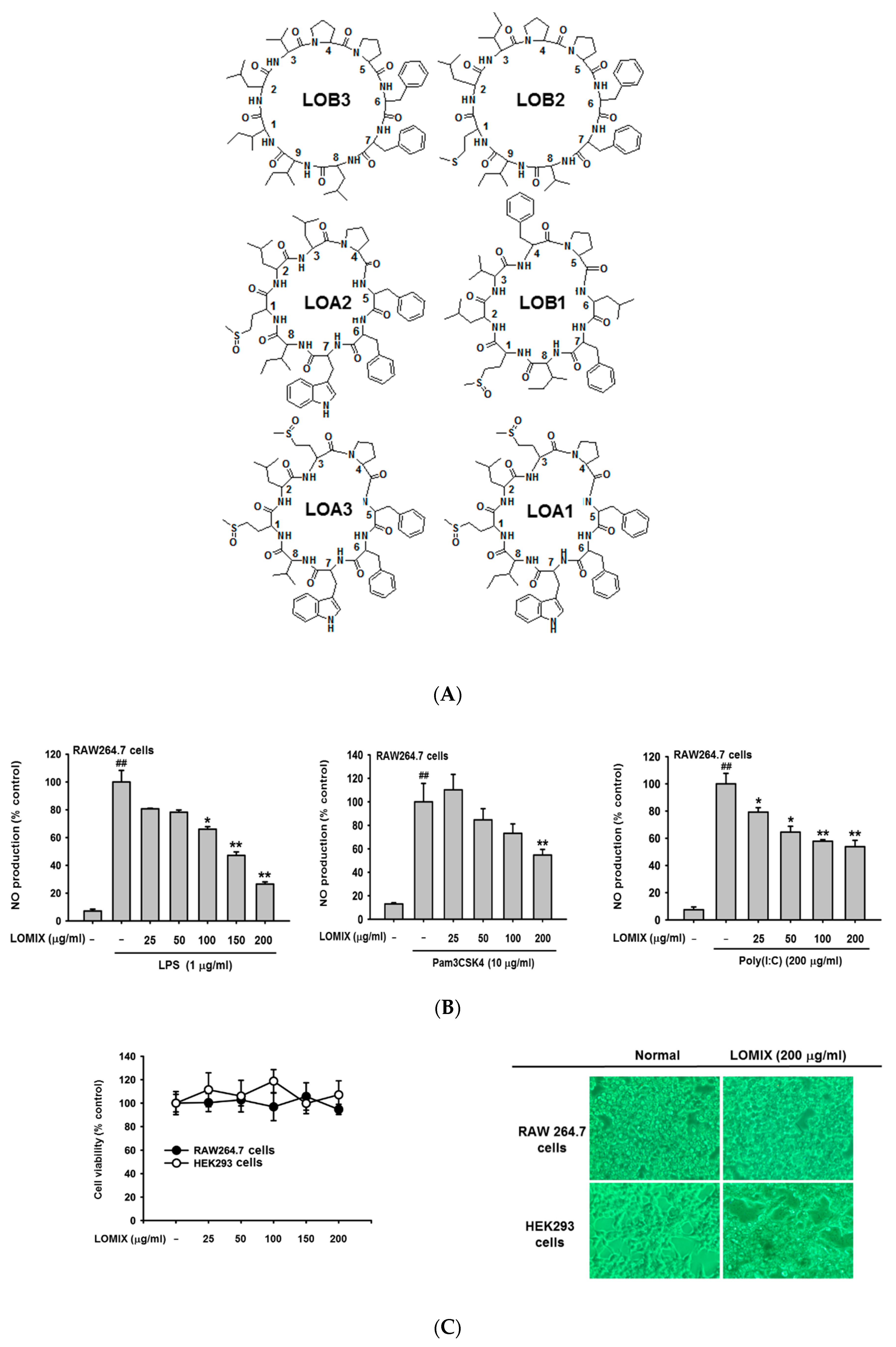 Biomolecules 10 00859 g001a