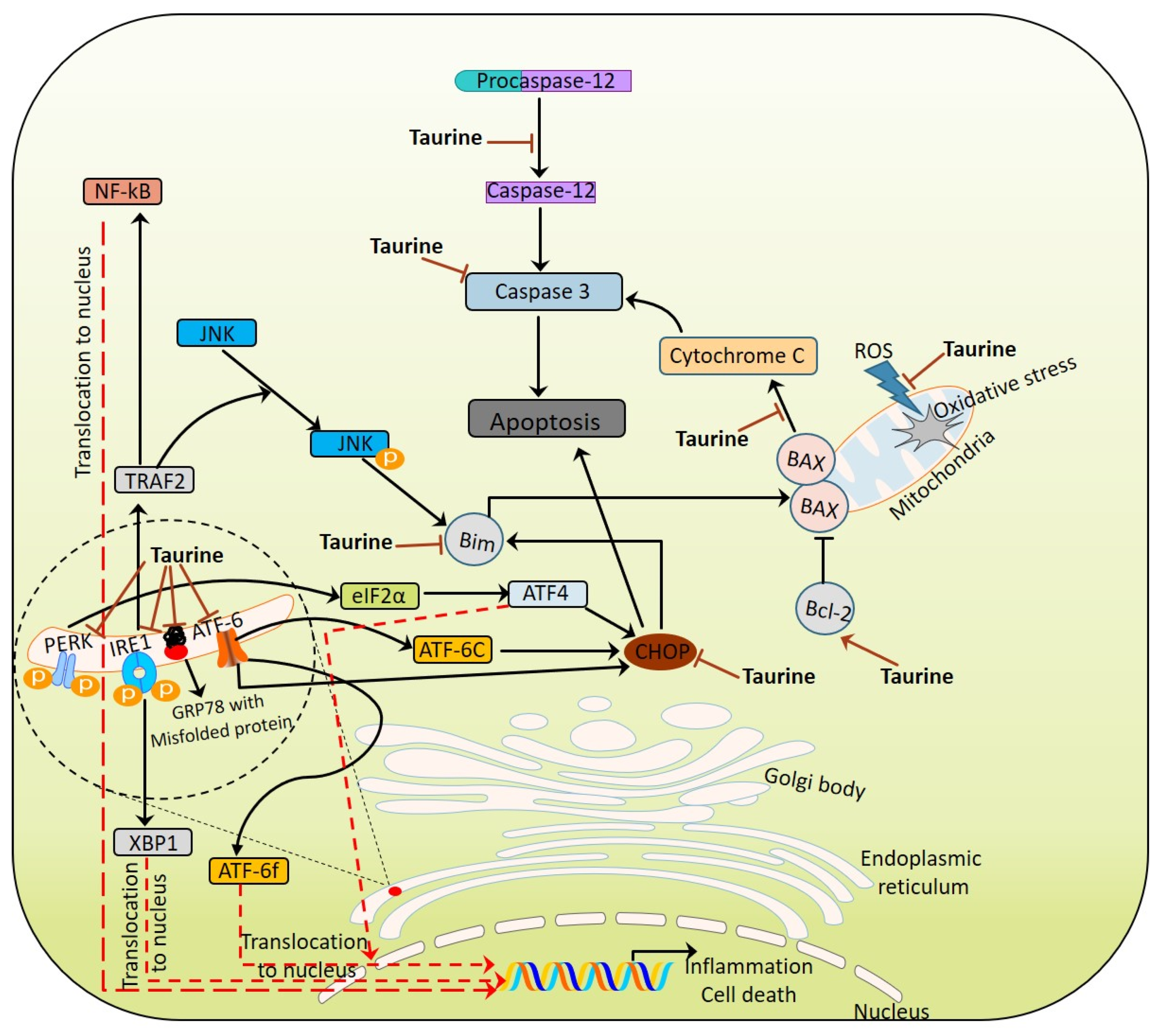 Biomolecules 10 00863 g002