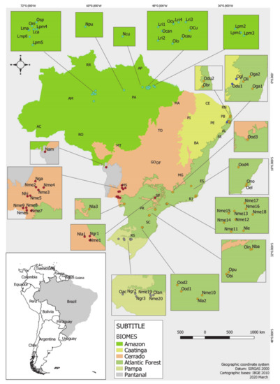 Biomolecules | Free Full-Text | Chemical Diversity and Biological  Activities of Essential Oils from Licaria, Nectrandra and Ocotea Species  (Lauraceae) with Occurrence in Brazilian Biomes | HTML