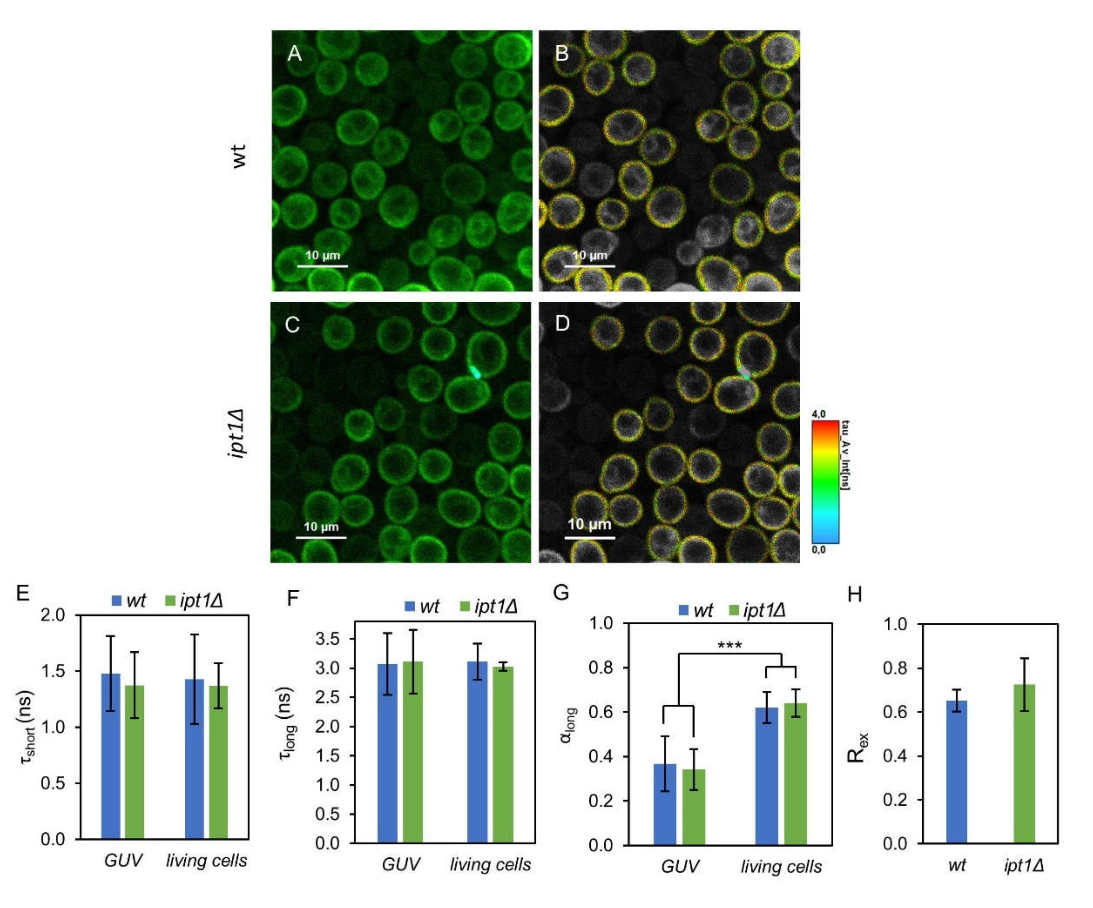 Biomolecules 10 00871 g004