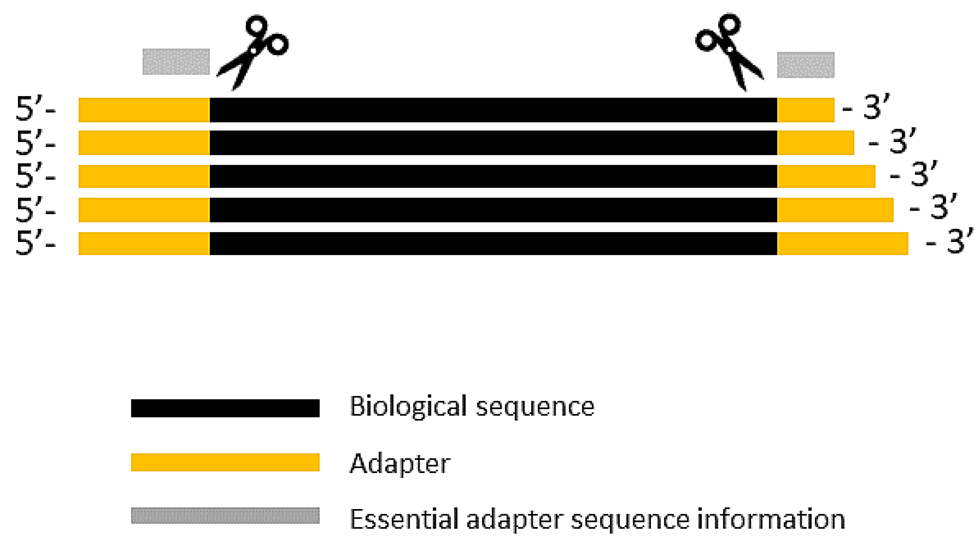 Biomolecules | Free Full-Text | High-Throughput Identification of Adapters  in Single-Read Sequencing Data | HTML