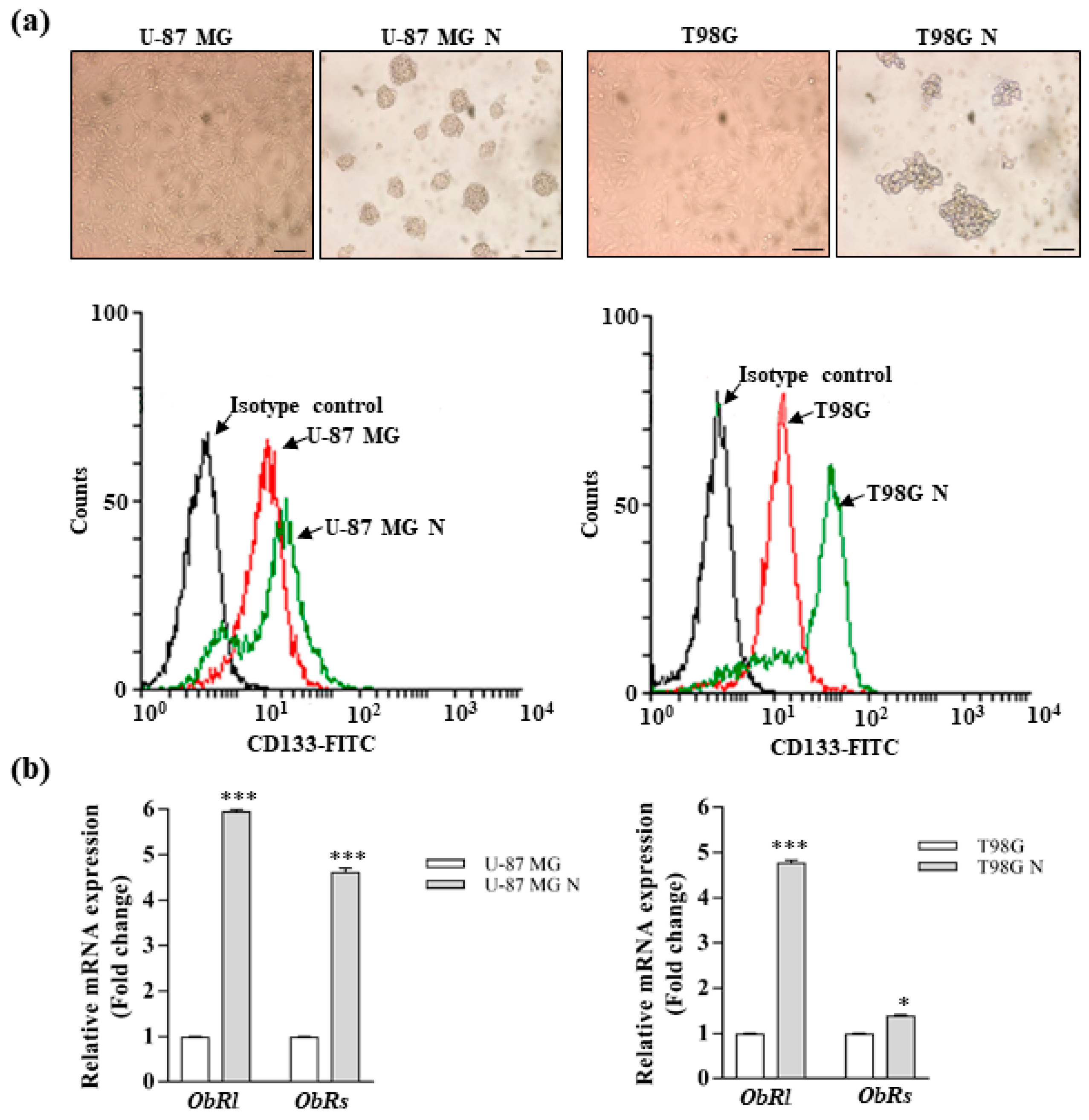 Biomolecules 10 00886 g003