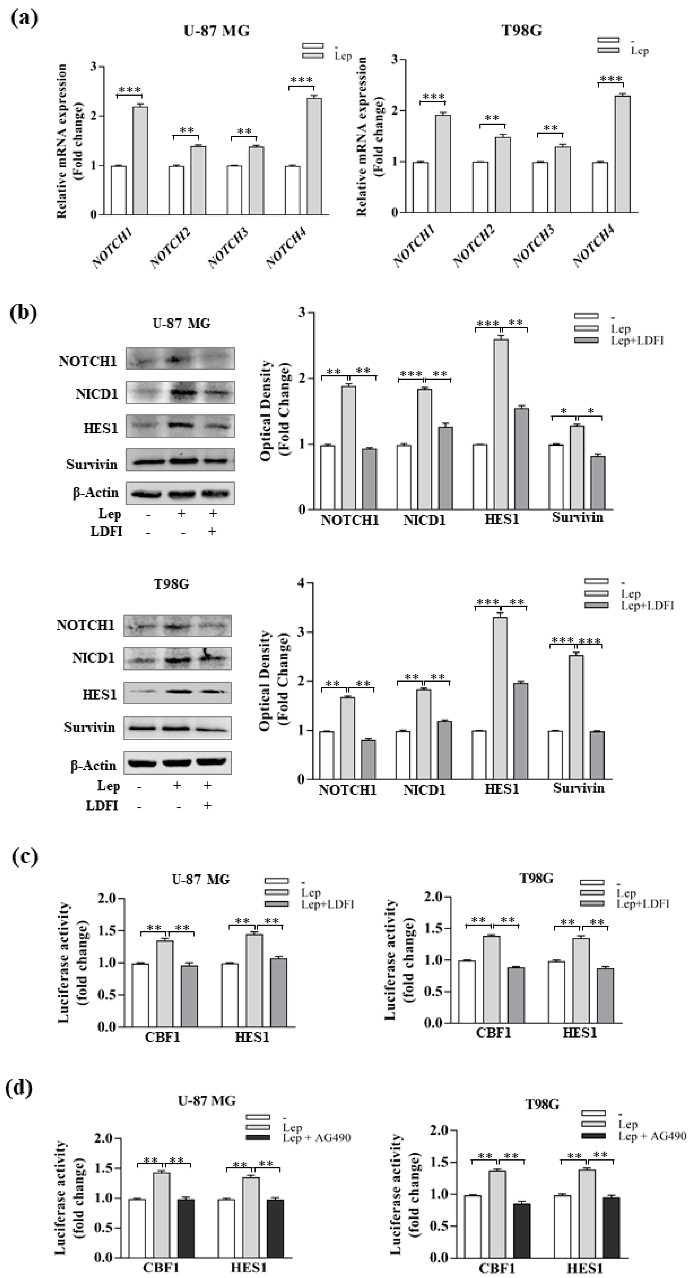 Biomolecules 10 00886 g005