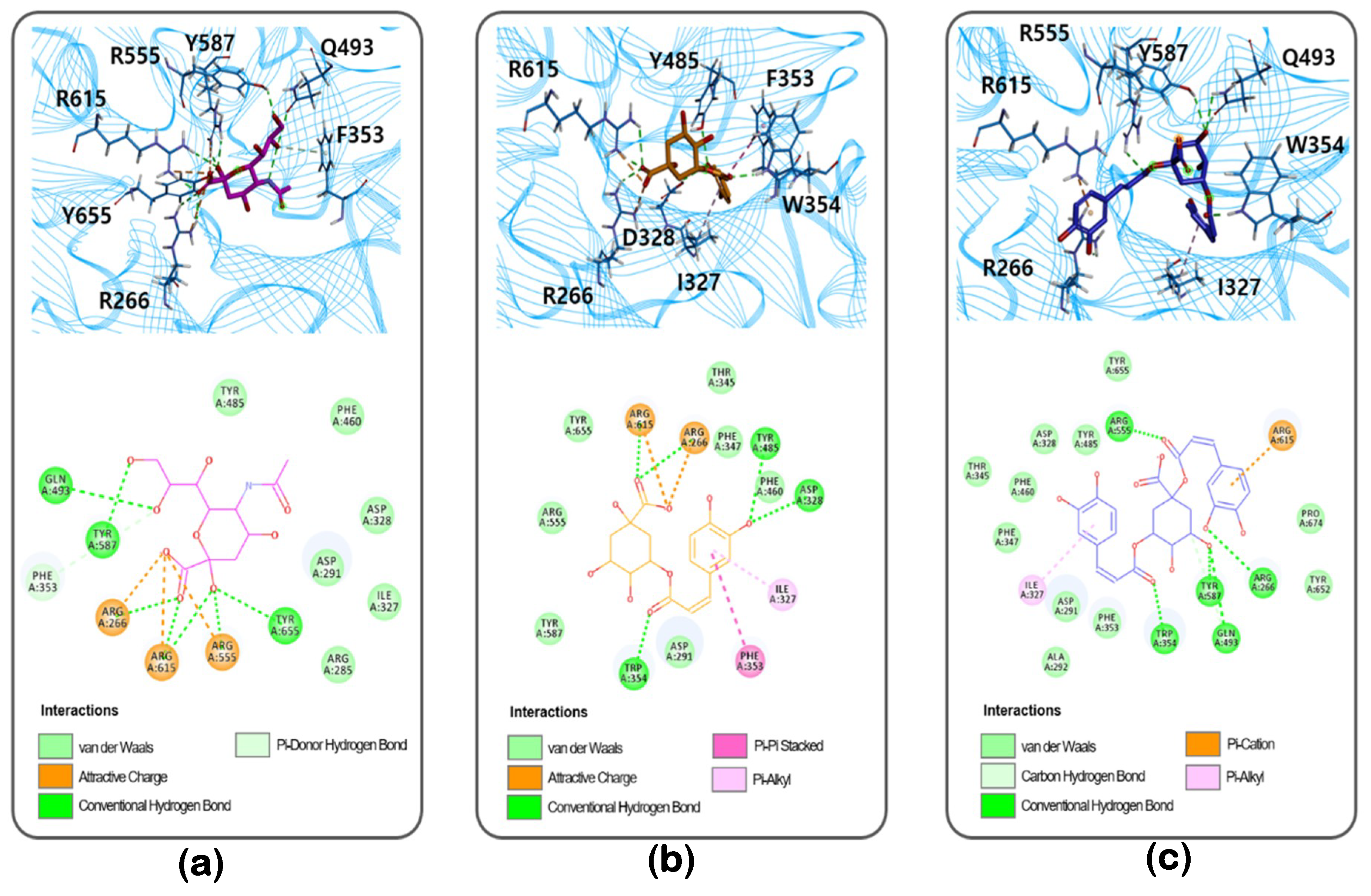 Biomolecules 10 00888 g004 Biomolecules 10 00888 g004
